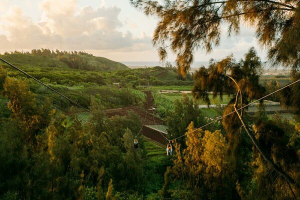 ziplining in oahu