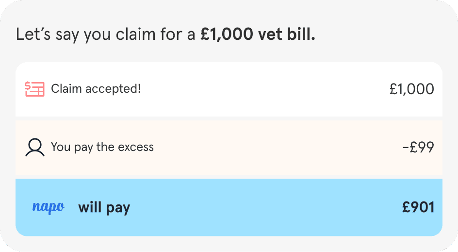A description of how a £99 excess is taken off a £1,000 vet bill, leaving an insurance payout of £901