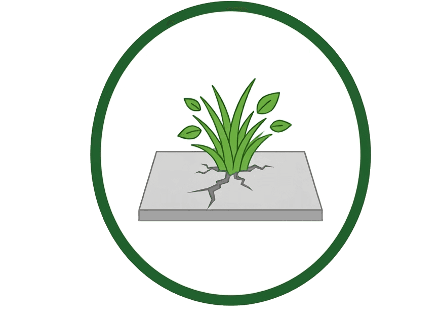 Navbar Logo