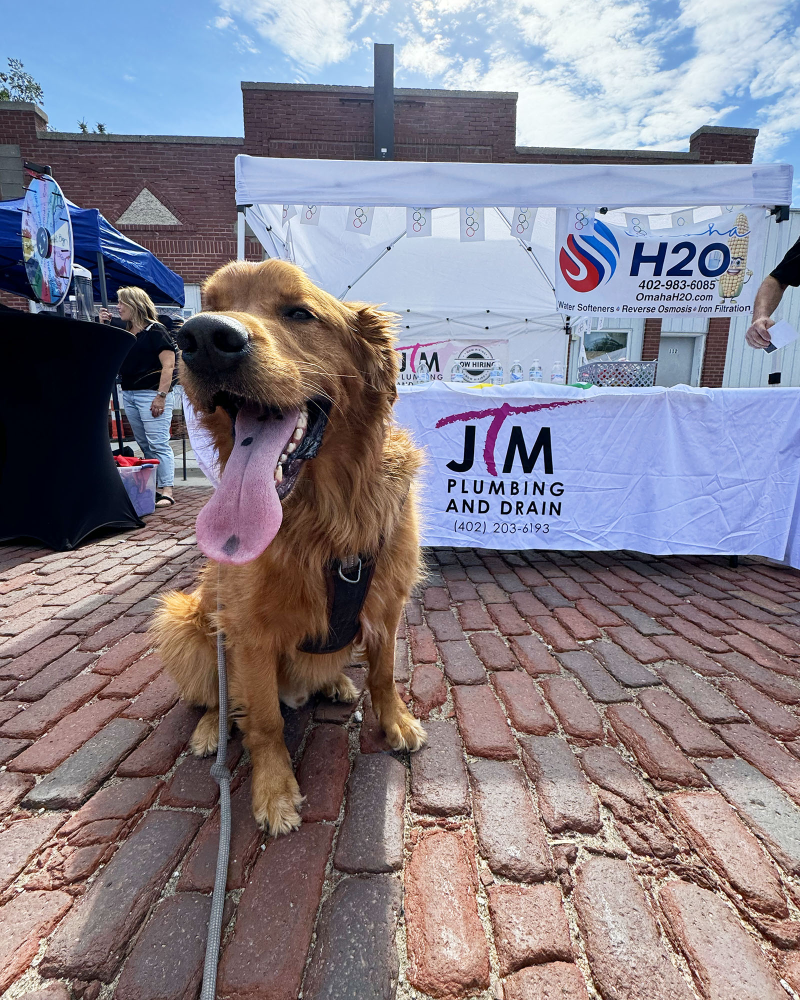 golden retriever at the gretna farmers marketi and business expo