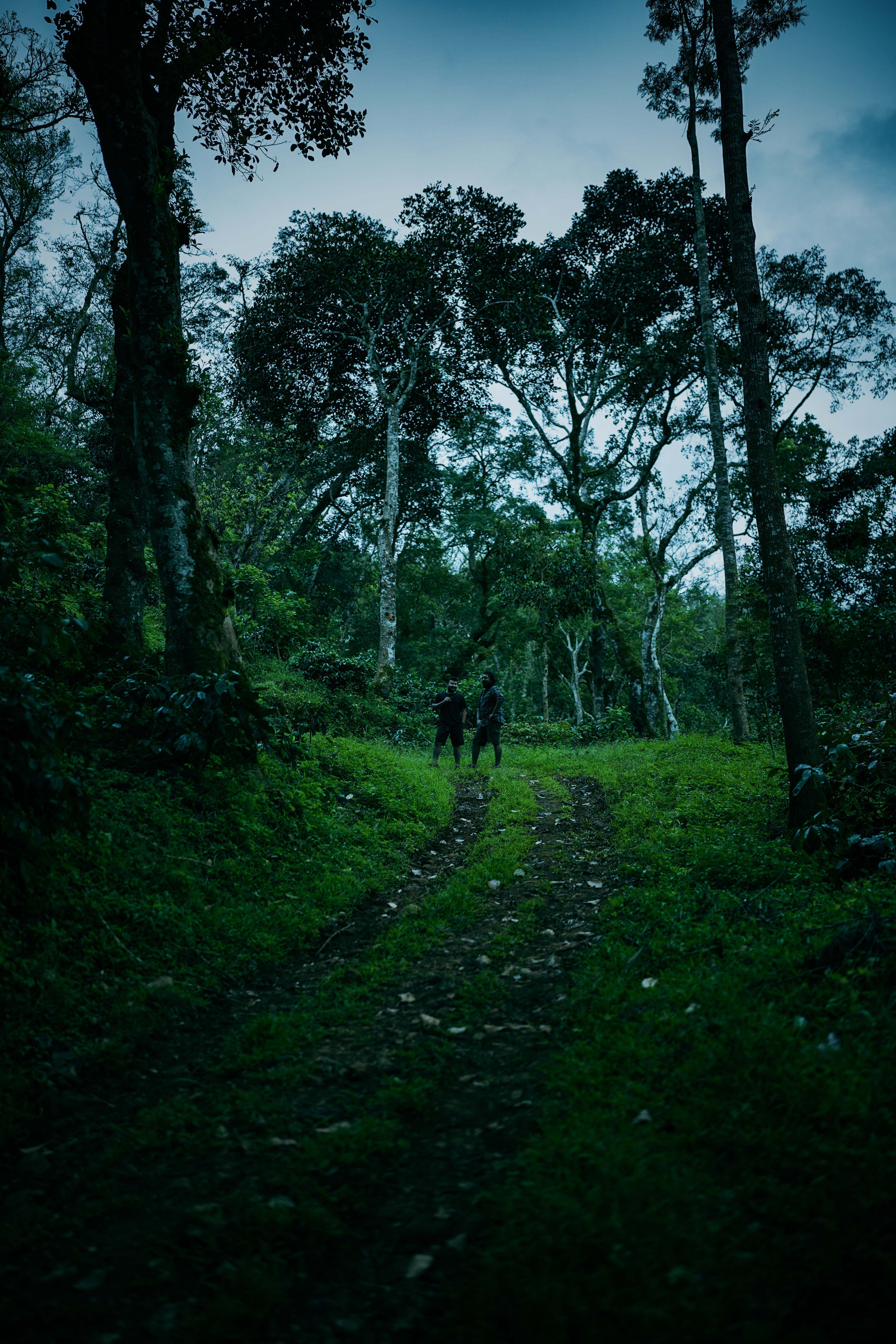 image of a woman hiking