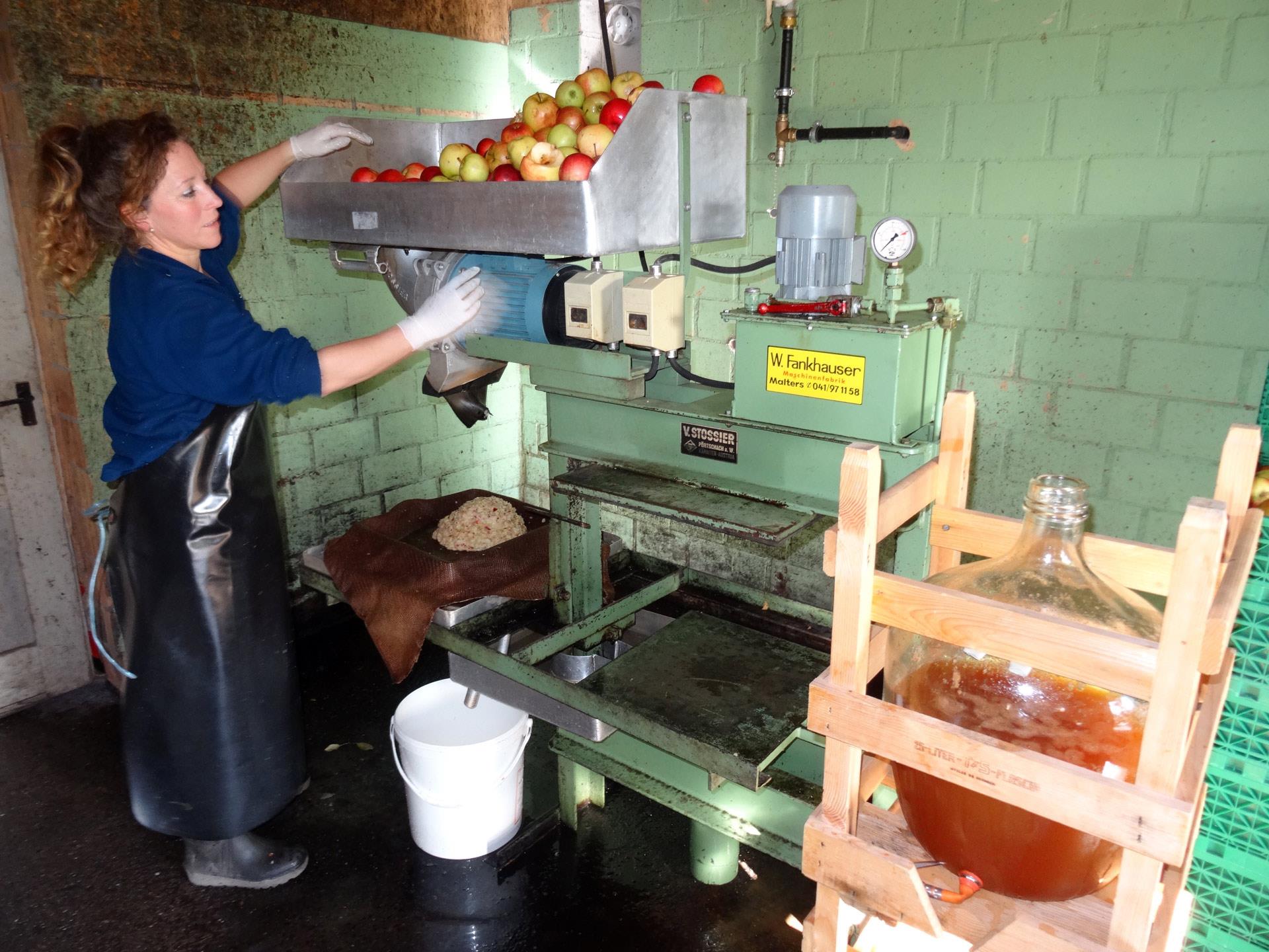 Verarbeitung von Äpfeln zu Most