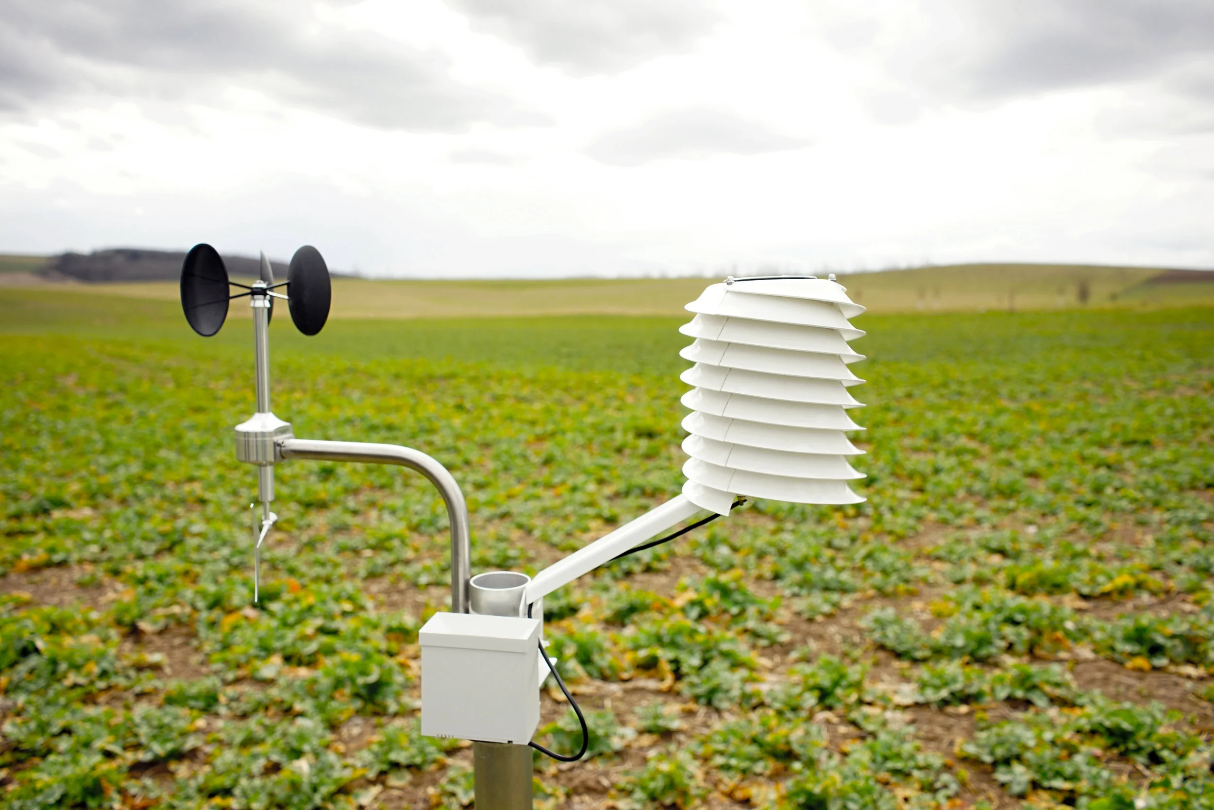 Barani Design: Rural Weather Prediction