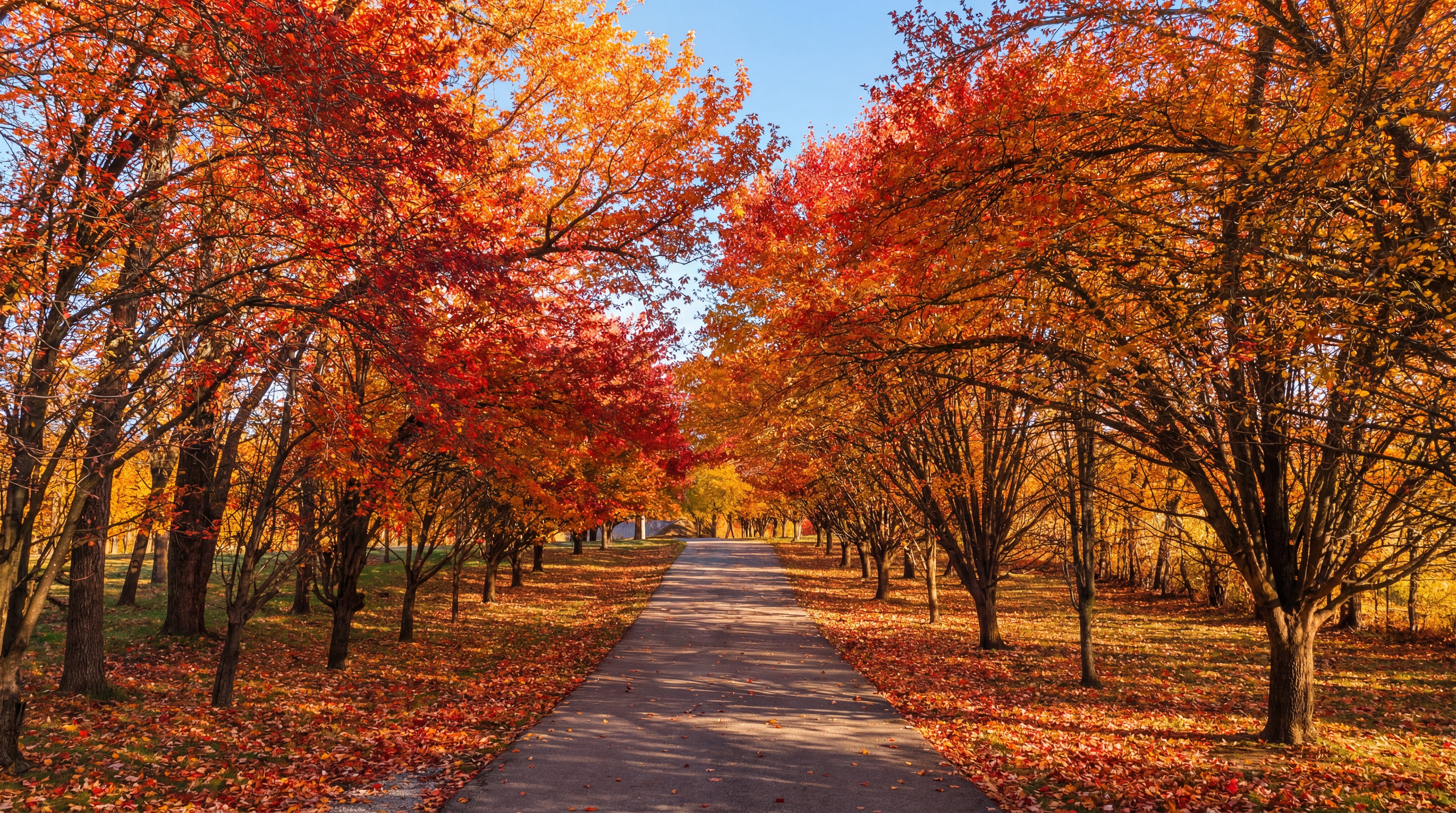 Knob hill estate fall view