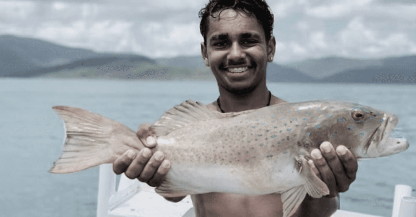 a large rock with a tree on top of it