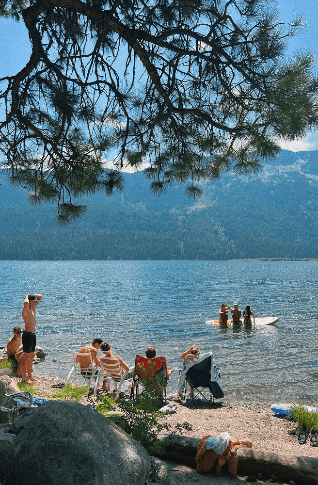 a view of young people on the beach of a lake taken from the shade of a large old pine tree