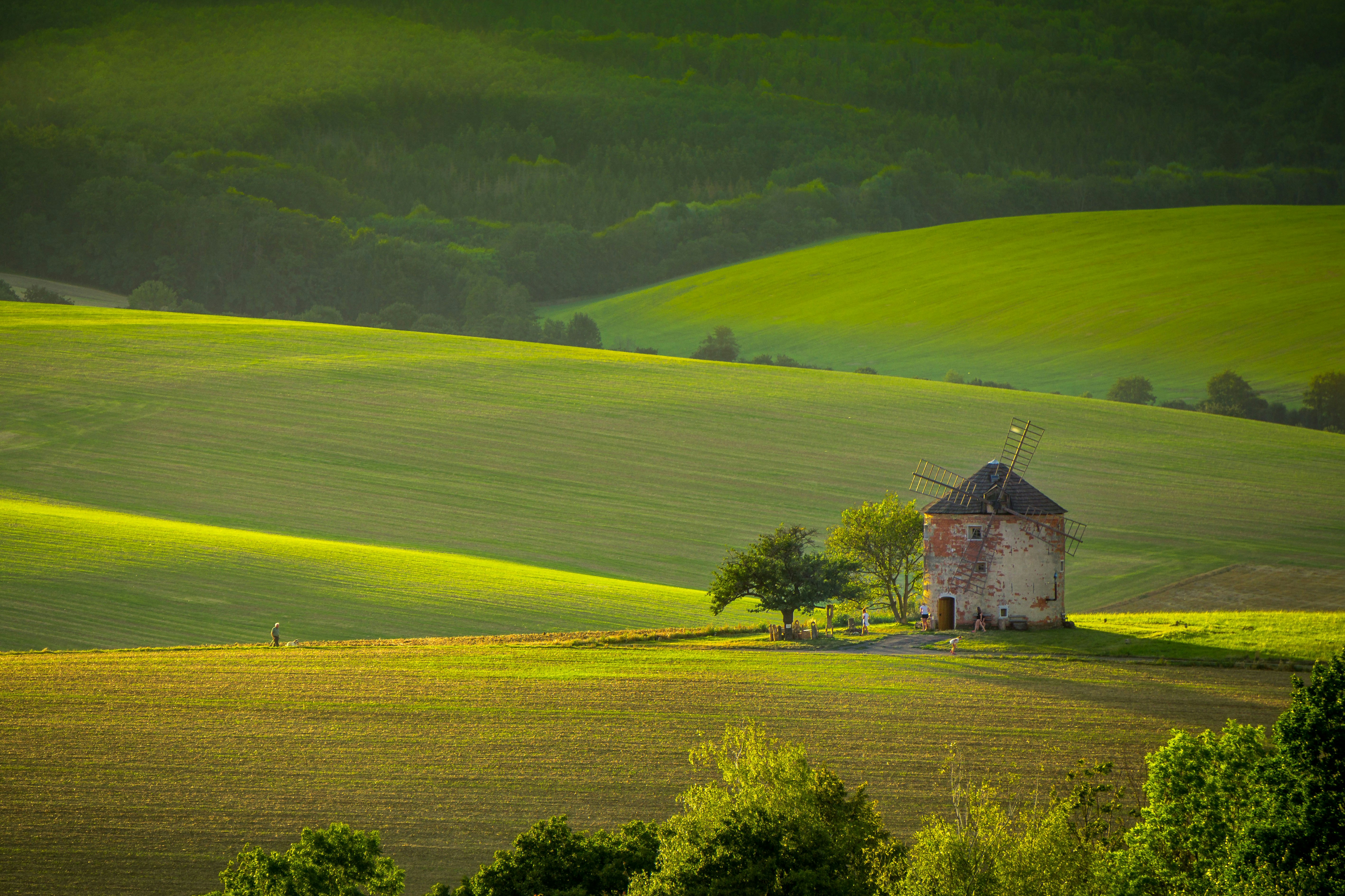 a house in the middle of a green field
