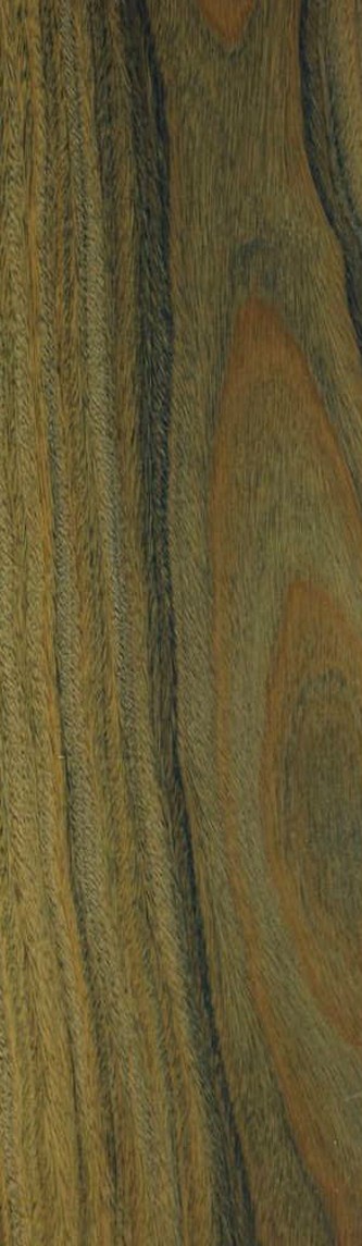 palosanto wood