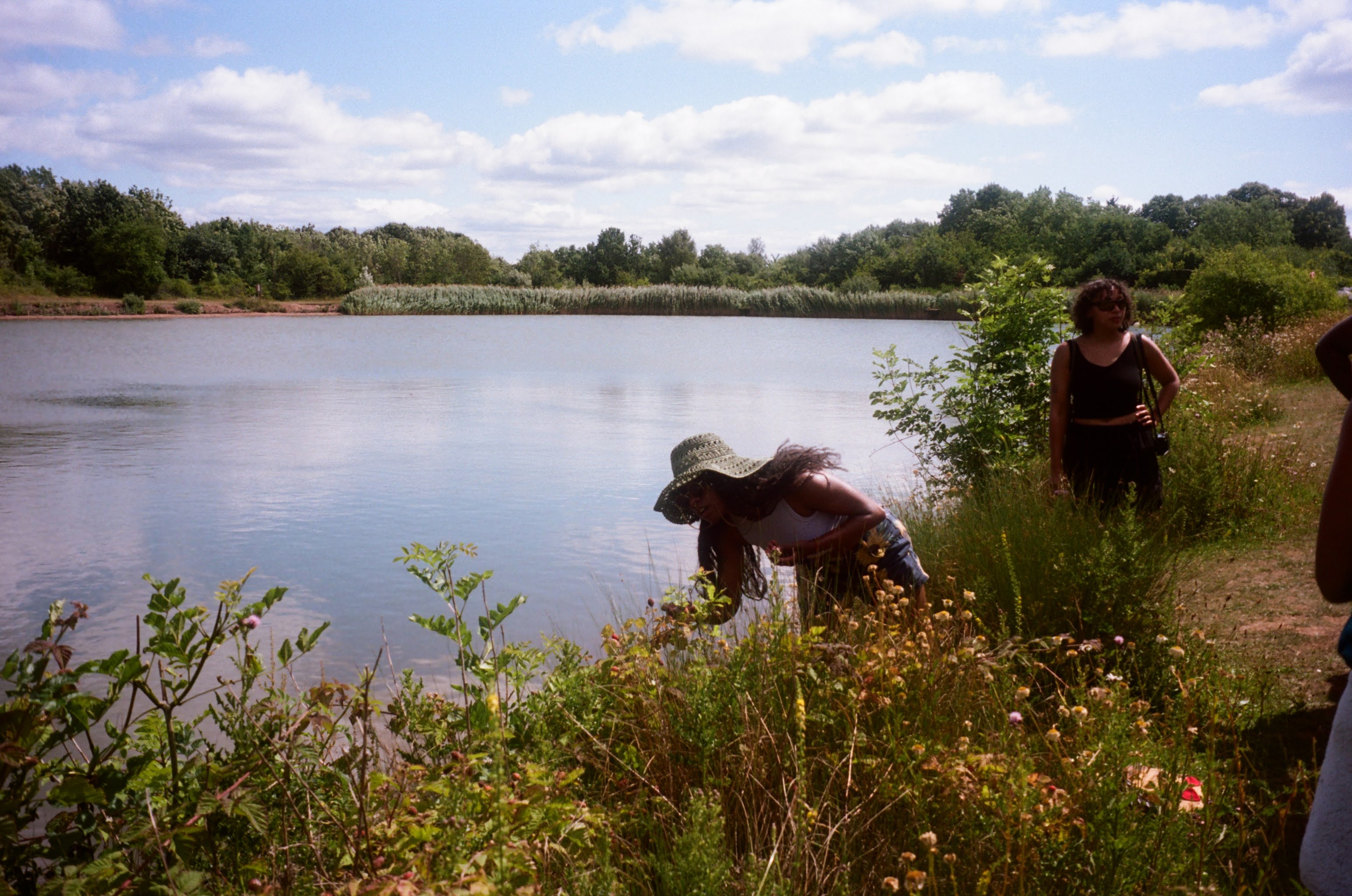 A person picks wild flowers from a river bank