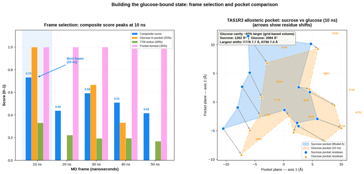 figure-5-glucose-bound-frame-selection.png