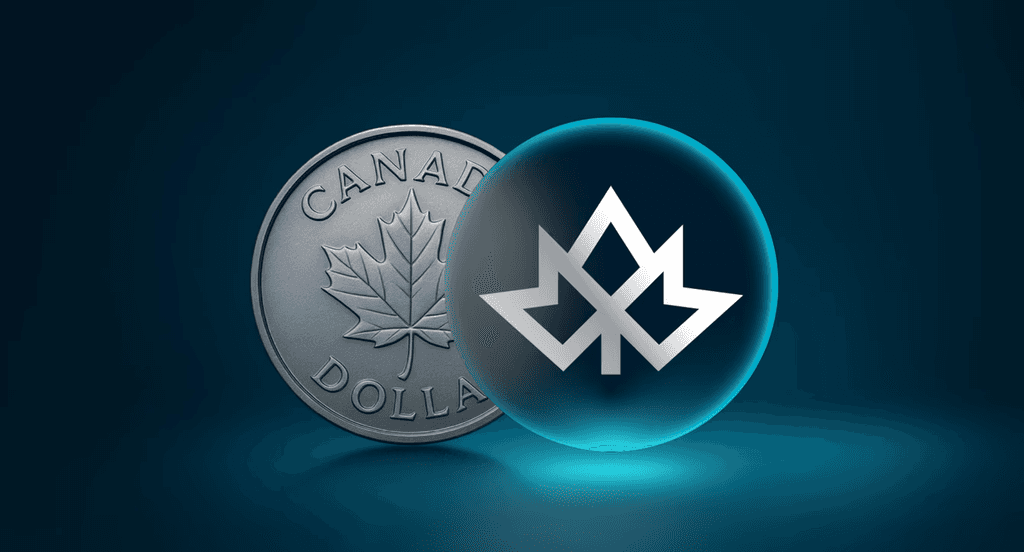 dashboard-connection