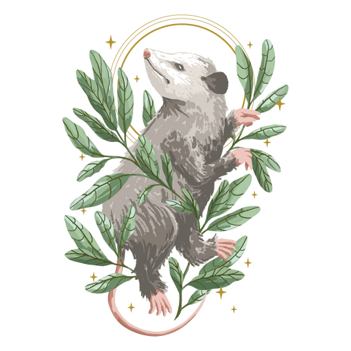 opossum png