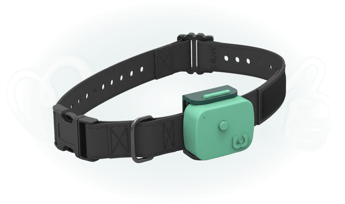 Smart collar for dogs that track location, health & behaviour