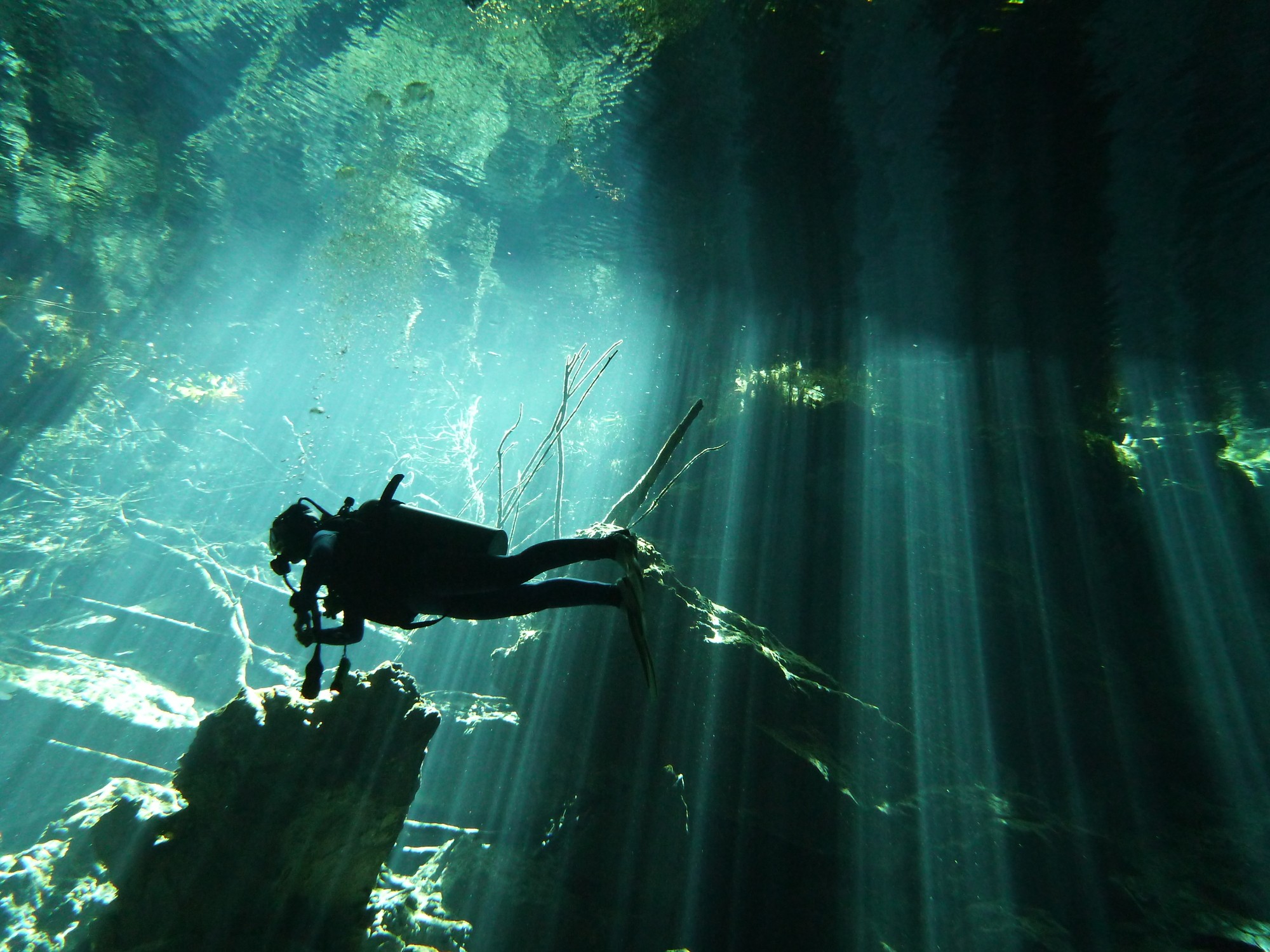A wooden walkway leading to a body of water