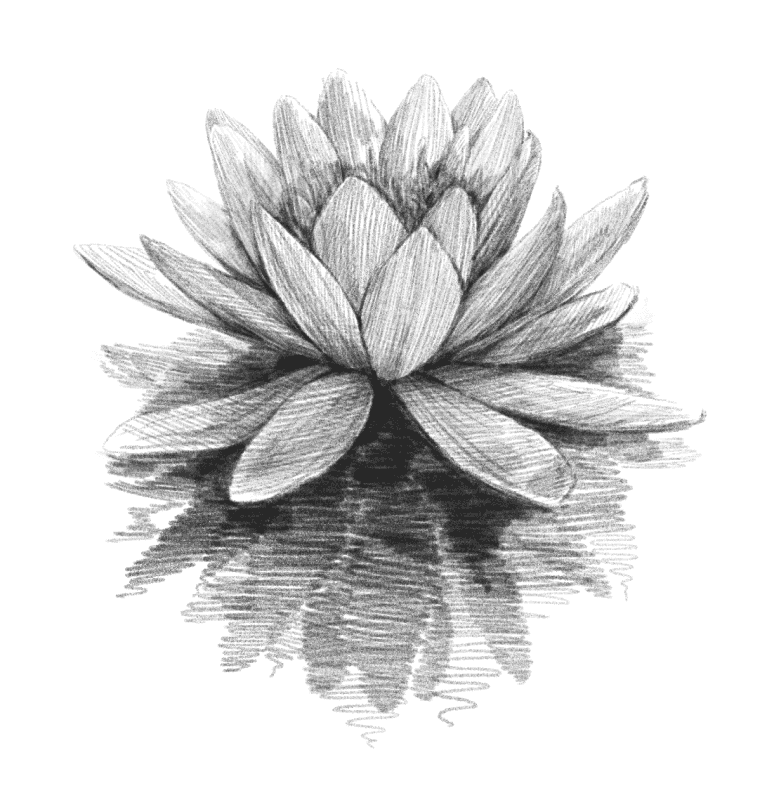 Fossum Bruk - Illustrasjon av blomst