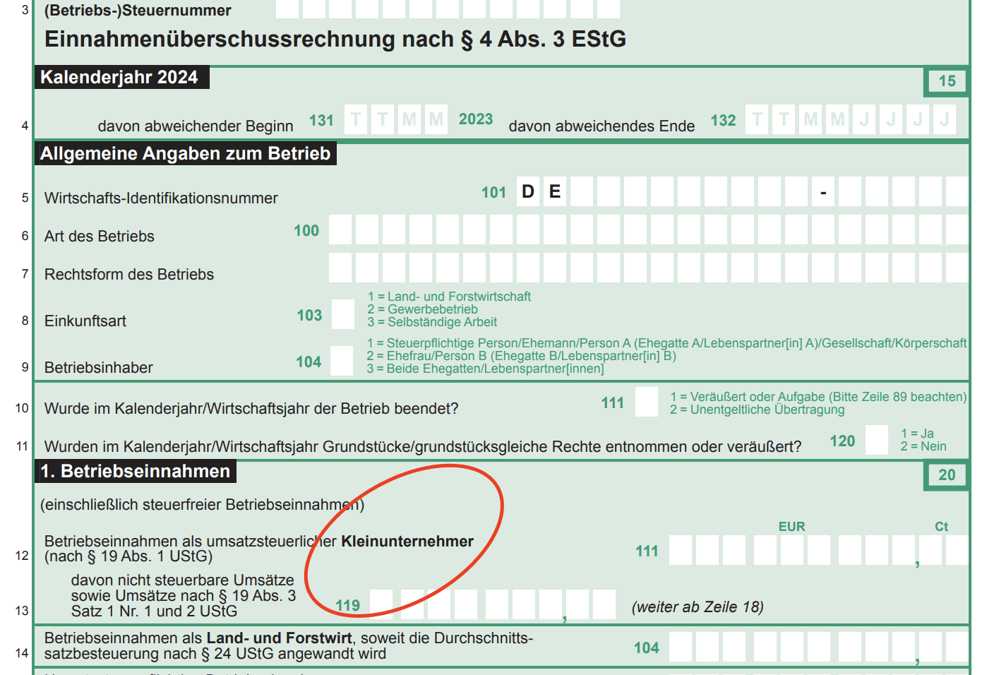 EÜR has dedicated input fields for Kleinunternehmer