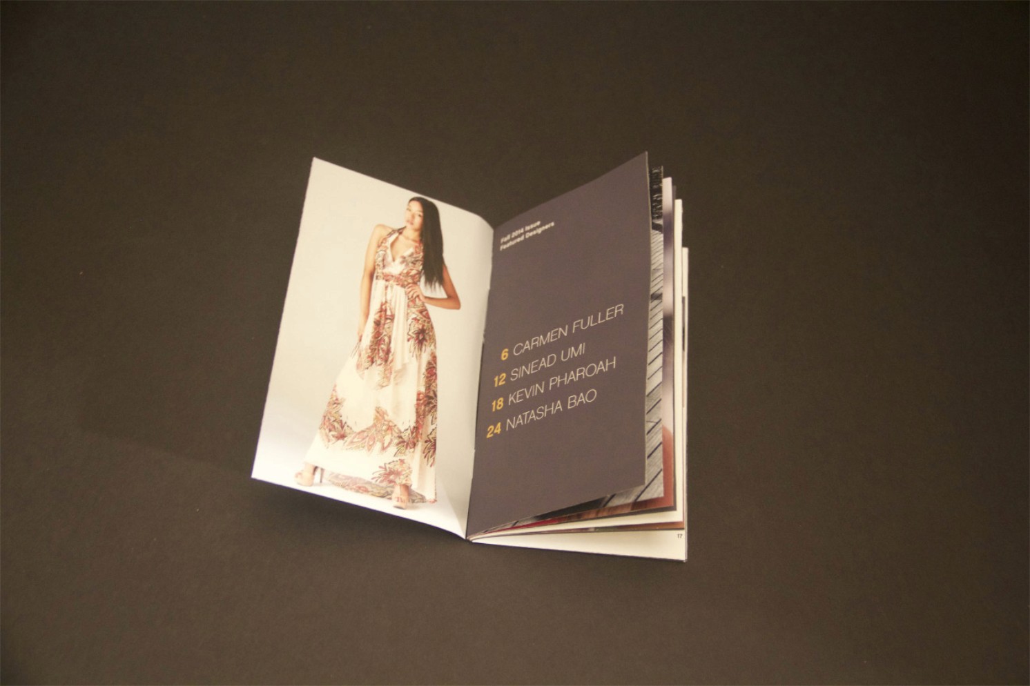 Project Gallery Image for 50% width of the screen #2