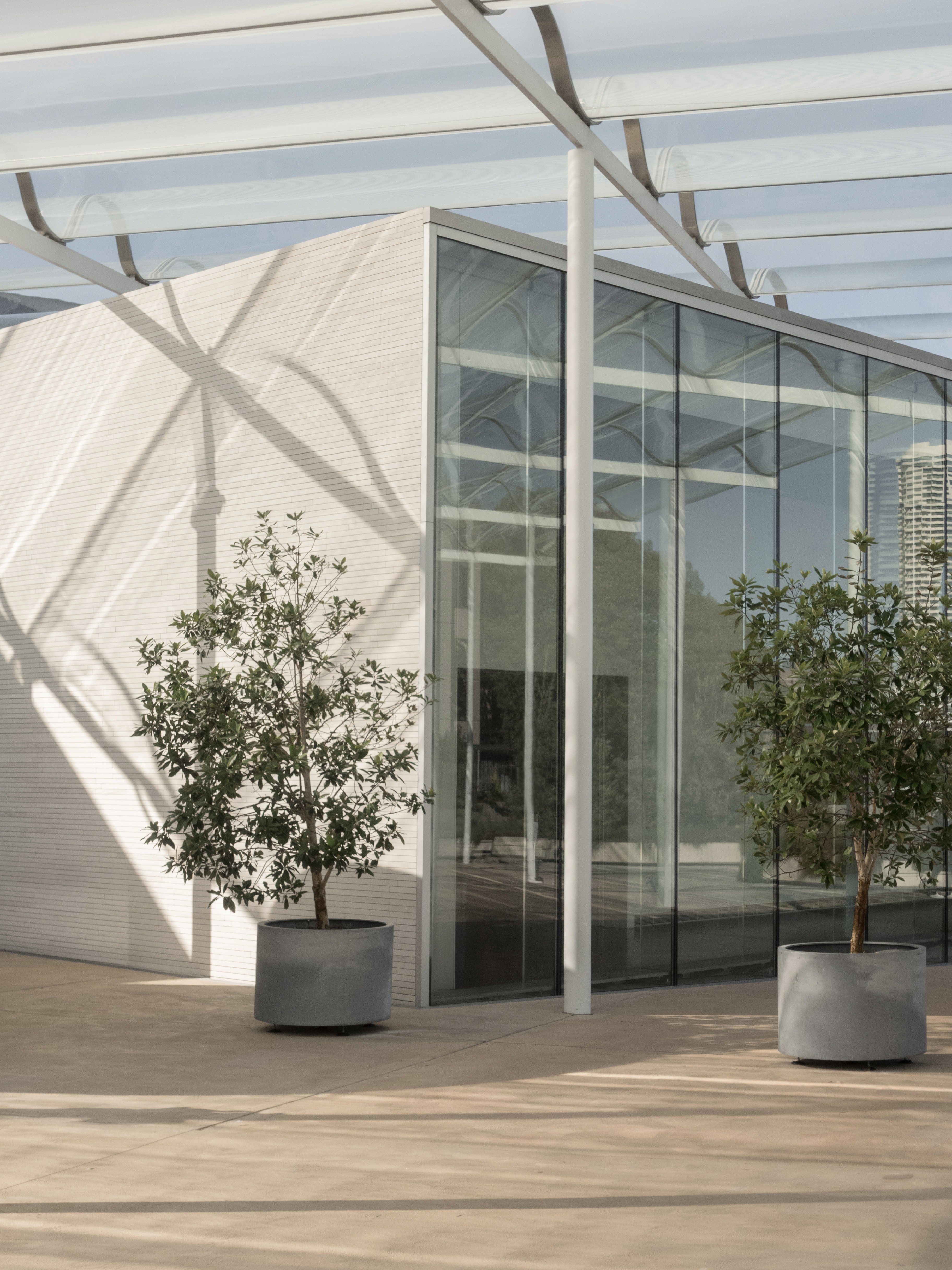 Light becomes a building material in its own right. The interplay of reflection, shadow, and transparency reveals the layered spatial quality of Sydney Modern while reinforcing SANAA's characteristic sense of lightness and restraint.