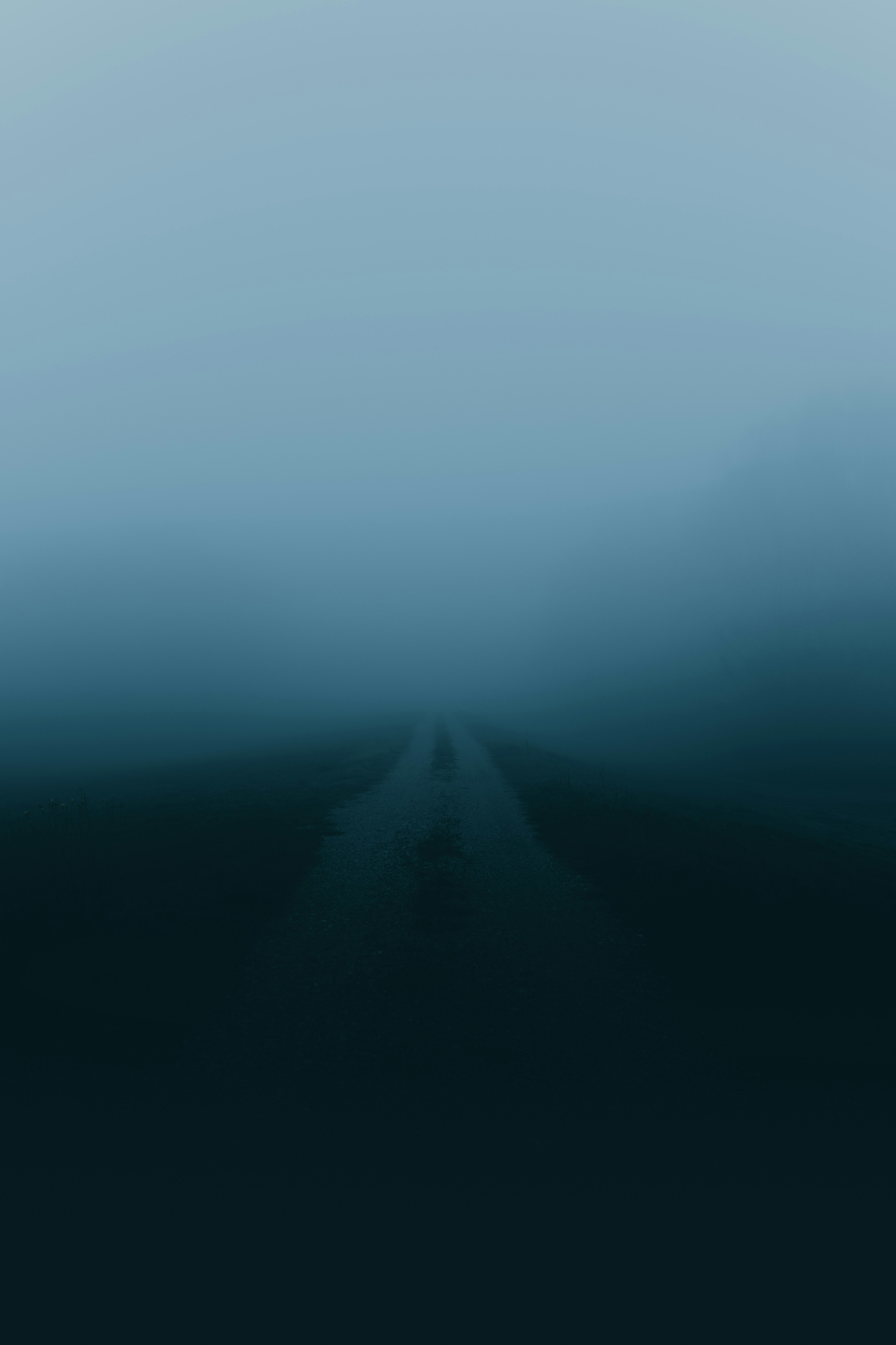 fogs covering road