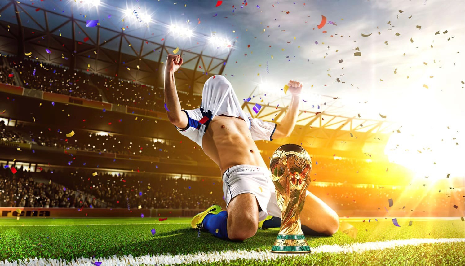 Close-up of a tree stump showing growth rings and a textured brown wood surface.