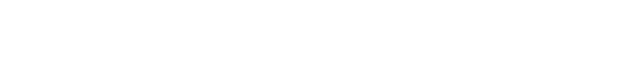 logo Vermeiren