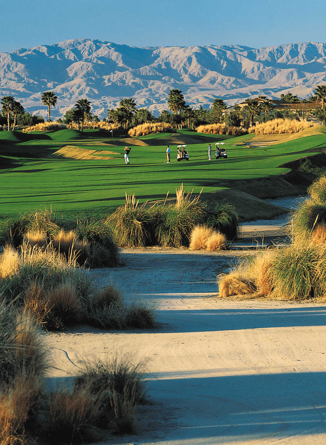 Two men greeting with hand