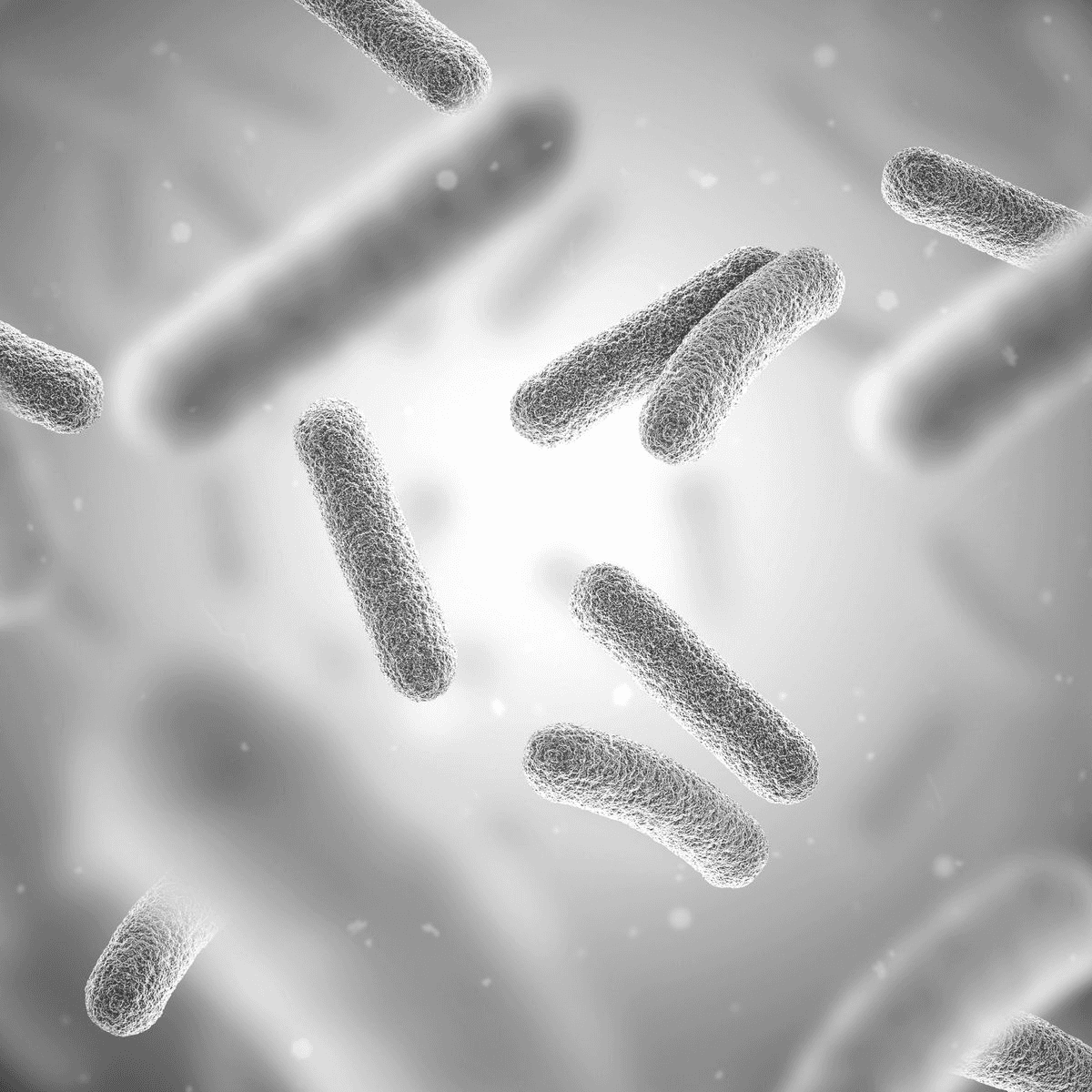 Expertos en "Nutrición y microbiota" en Terrassa, Barcelona. Heaven Clinics