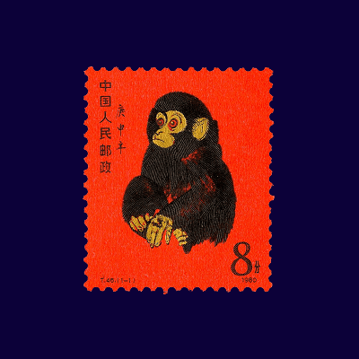 A smiling person with curly hair sits at a desk, looking at a laptop against a dark background.