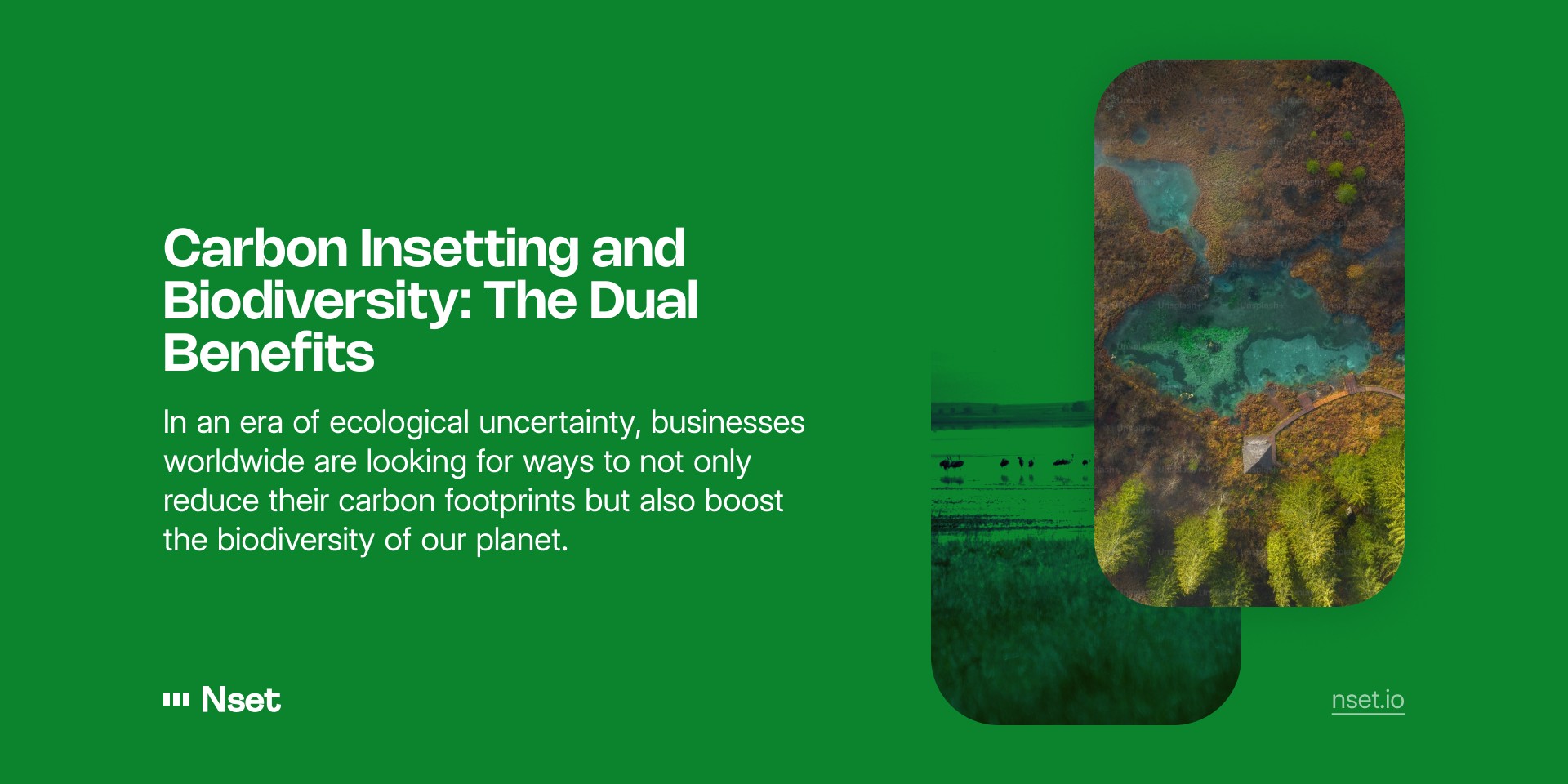 Carbon insetting & Biodiversity
