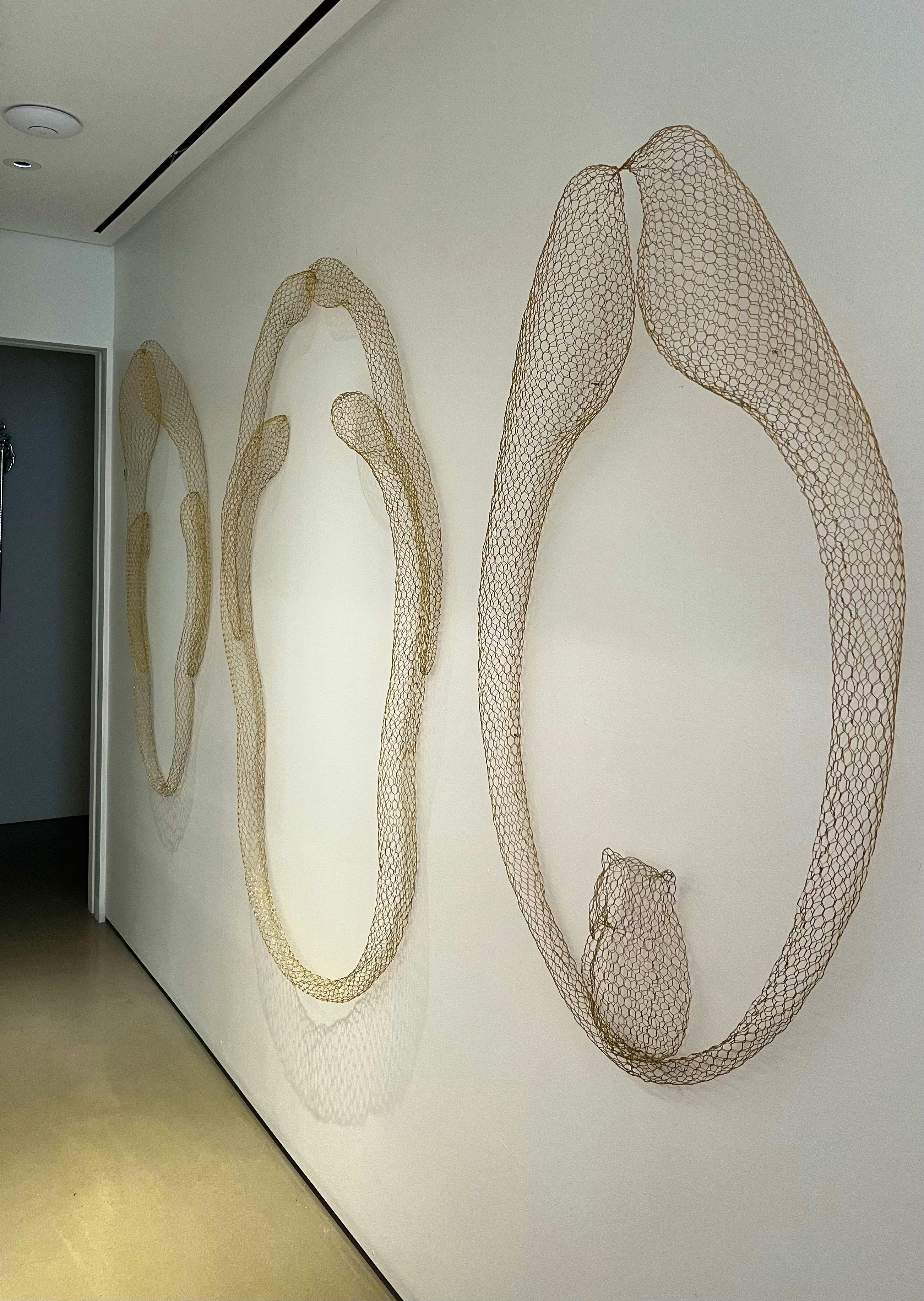 Project gallery image 5