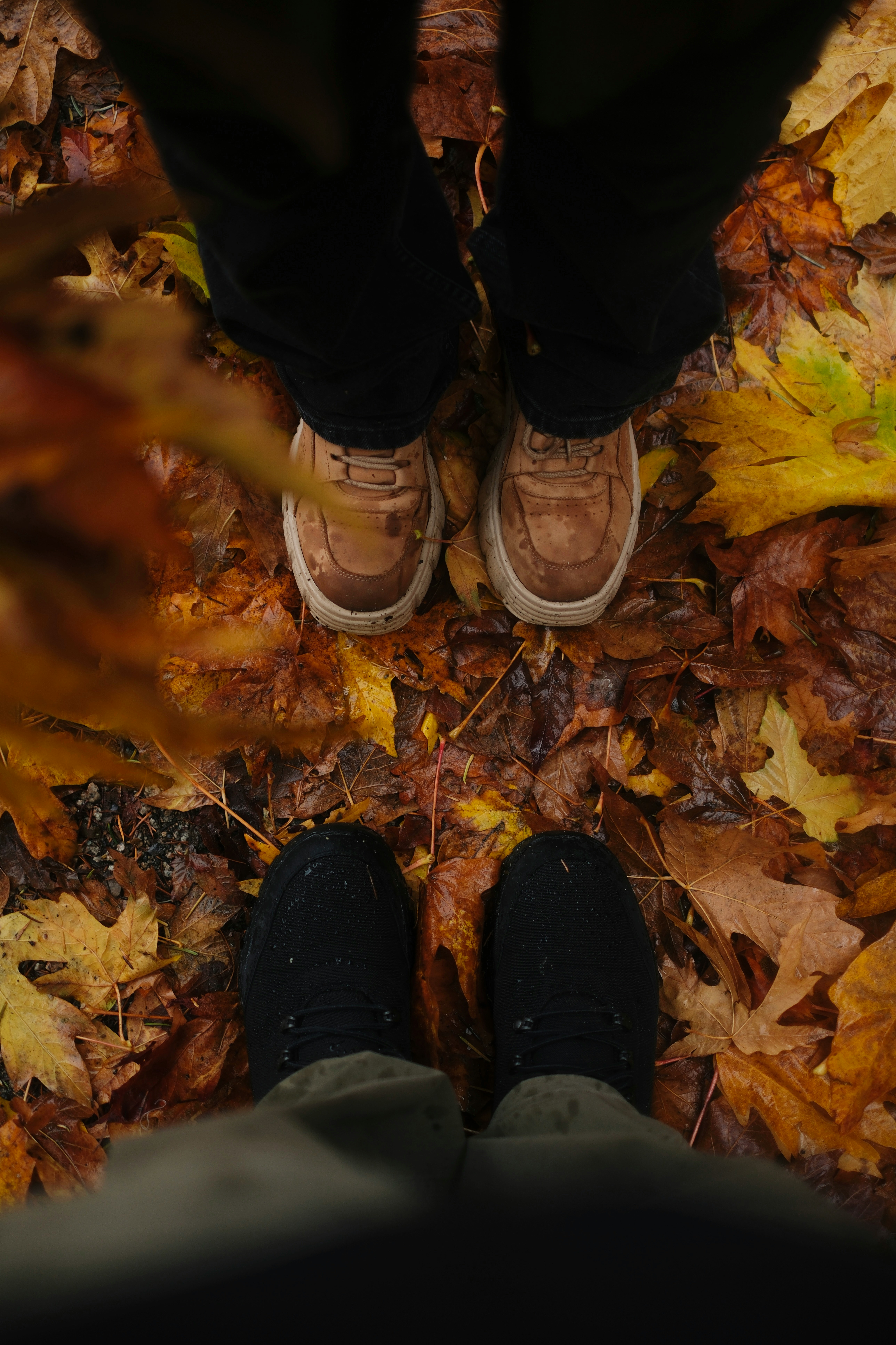 Two pairs of feet standing on autumn leaves
