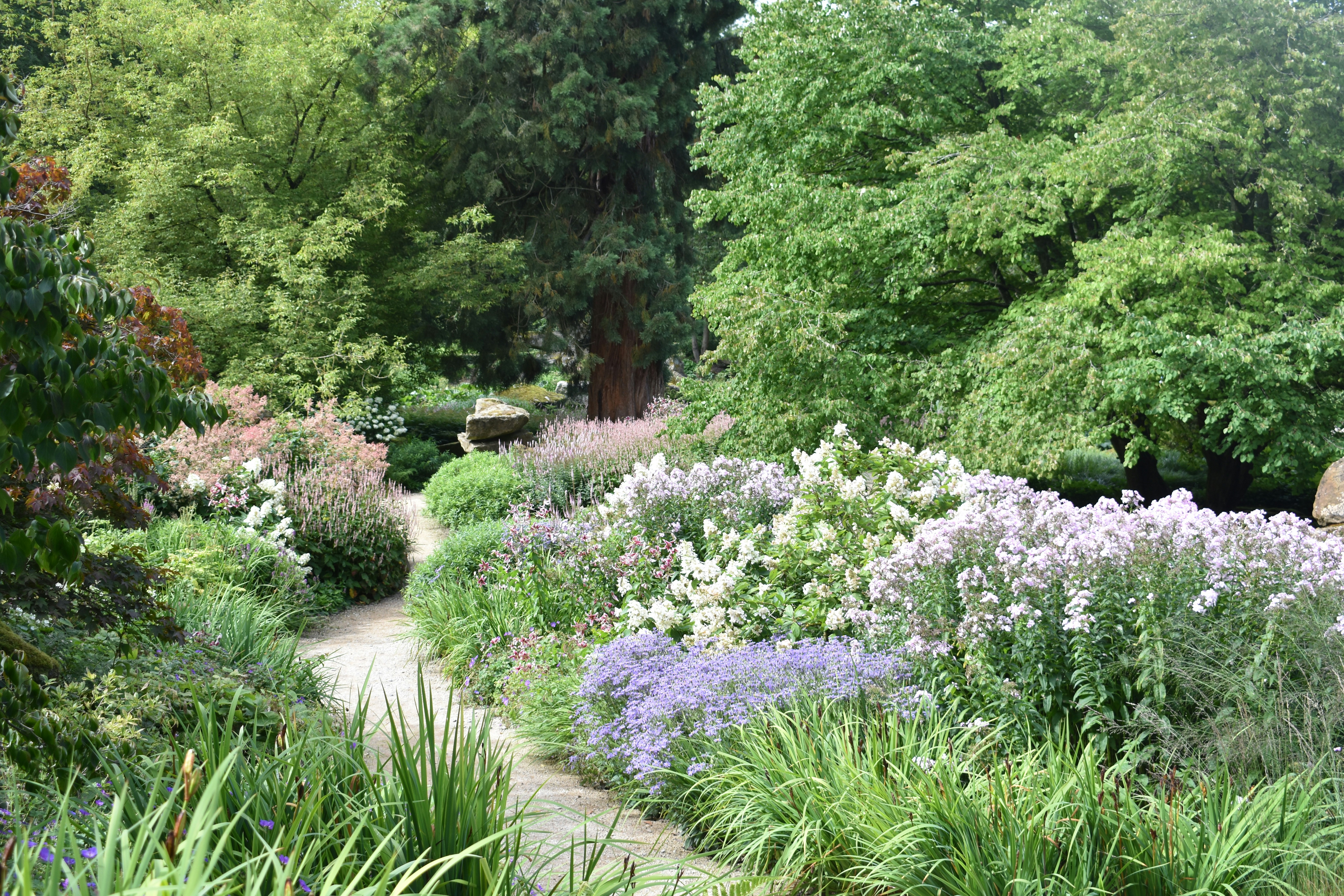 jardin fleuri avec allée