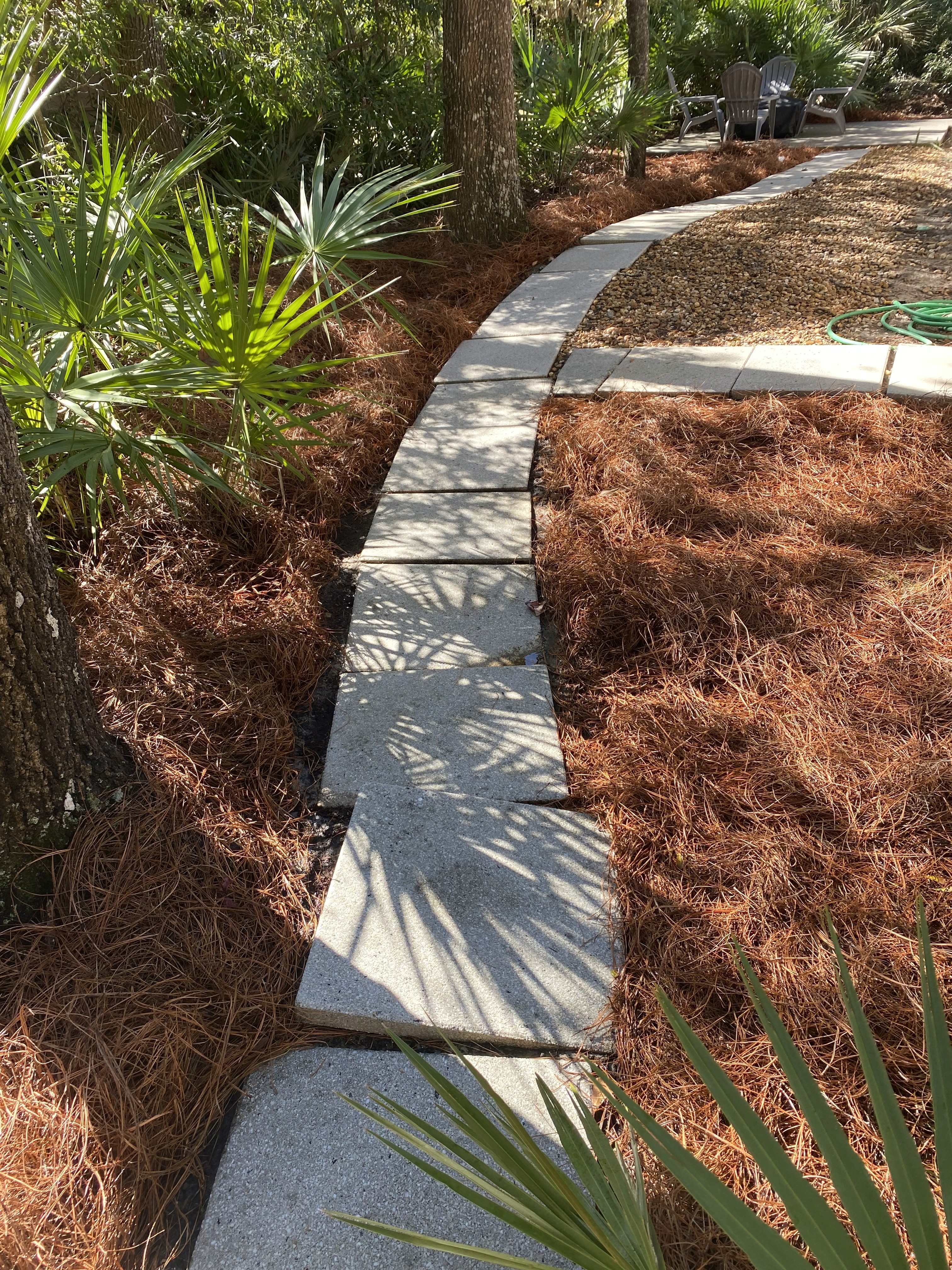 Before and after—home siding soft washed, surface free from algae and grime