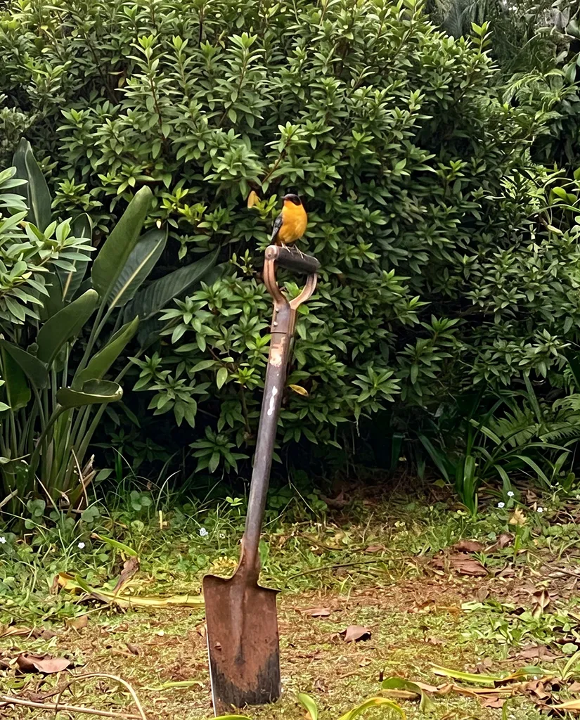 Kuhestan Bird Checklist