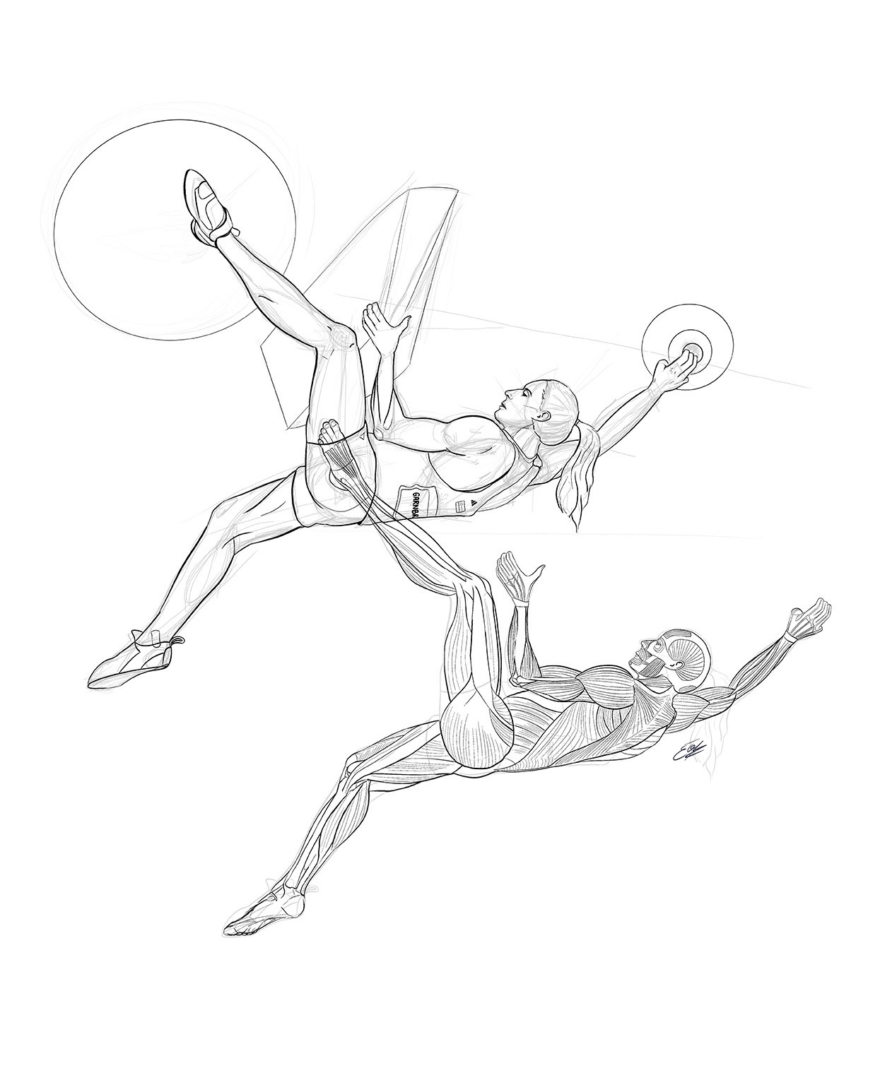 Esquisses de la langue humaine par l'illustration scientifique Élodie Ouellet-Belleau