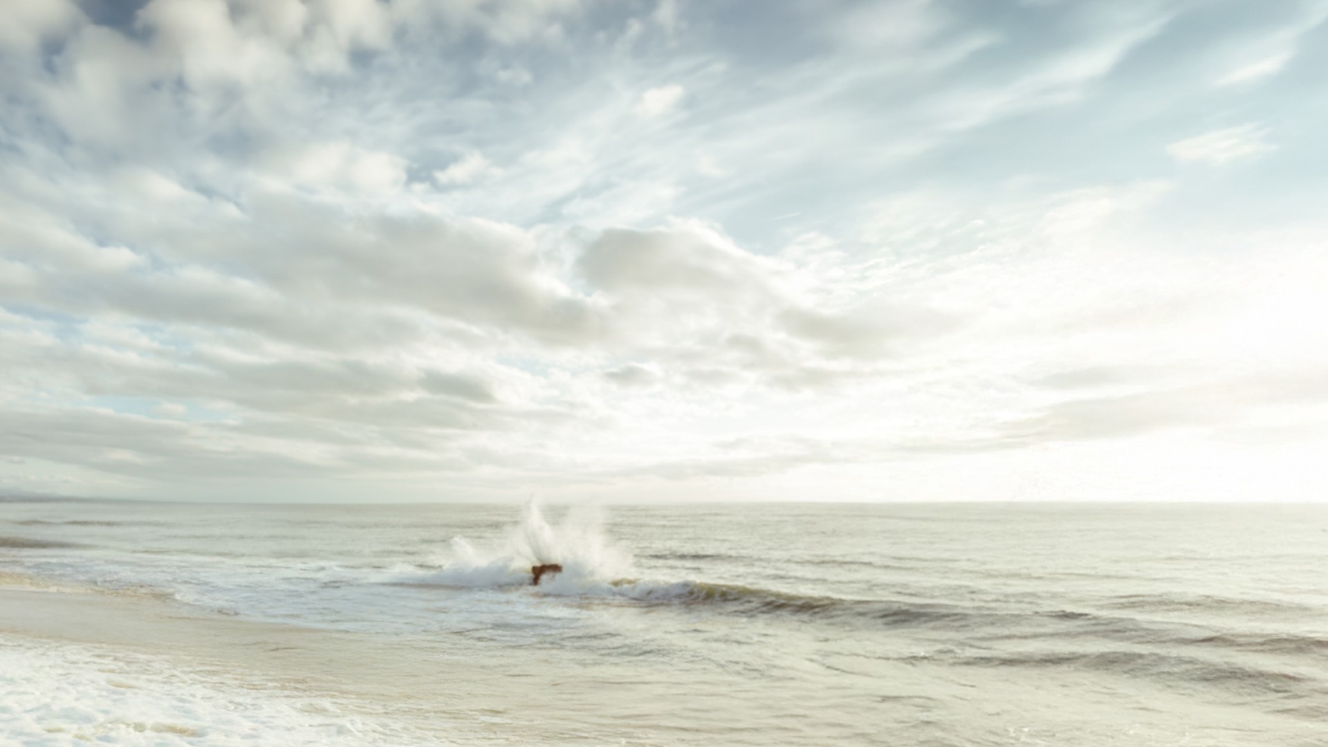 Meereswellen rollen an einen stillen Strand, während sich das Licht sanft auf dem Wasser spiegelt.
