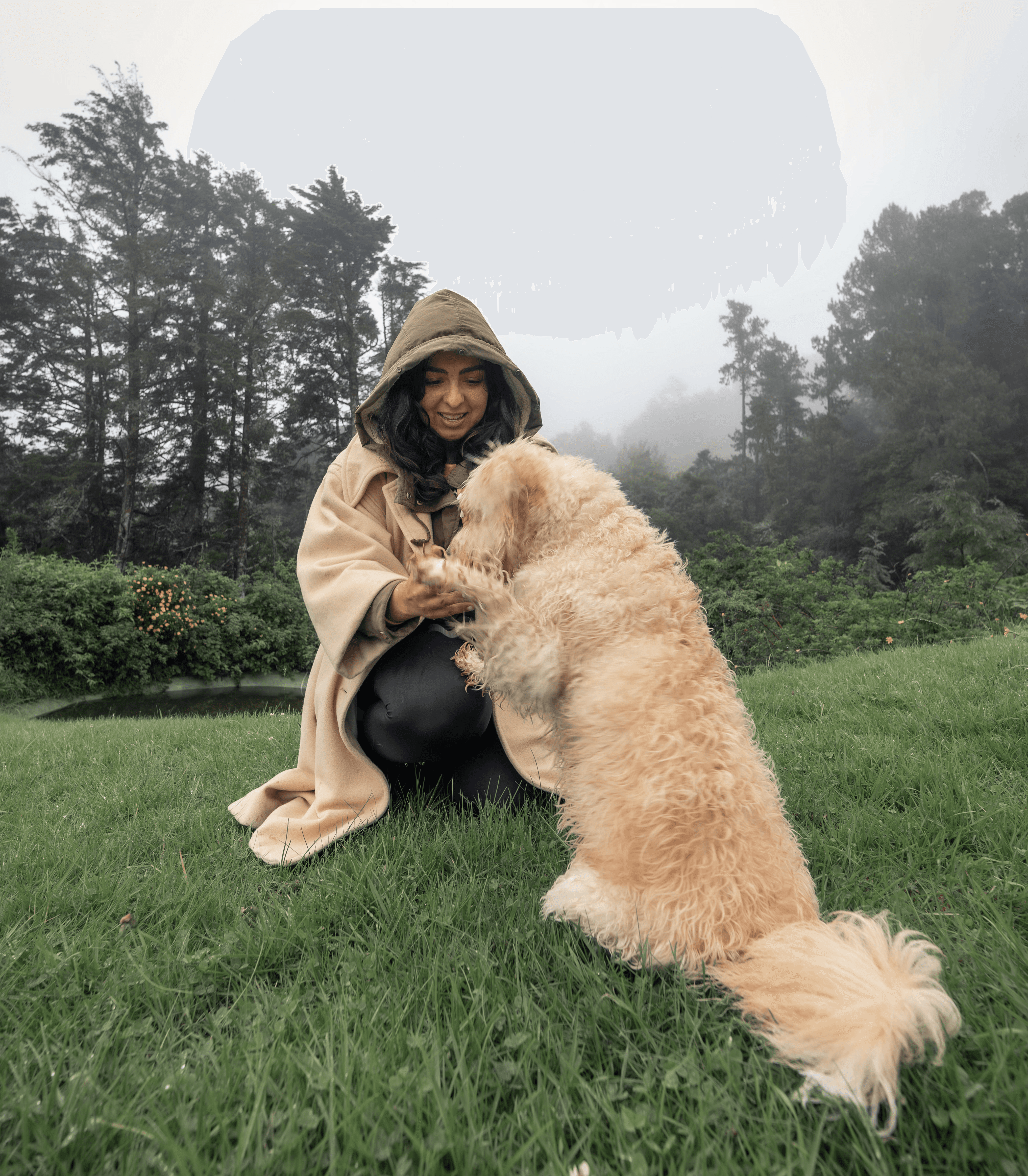 Testing & Optimization