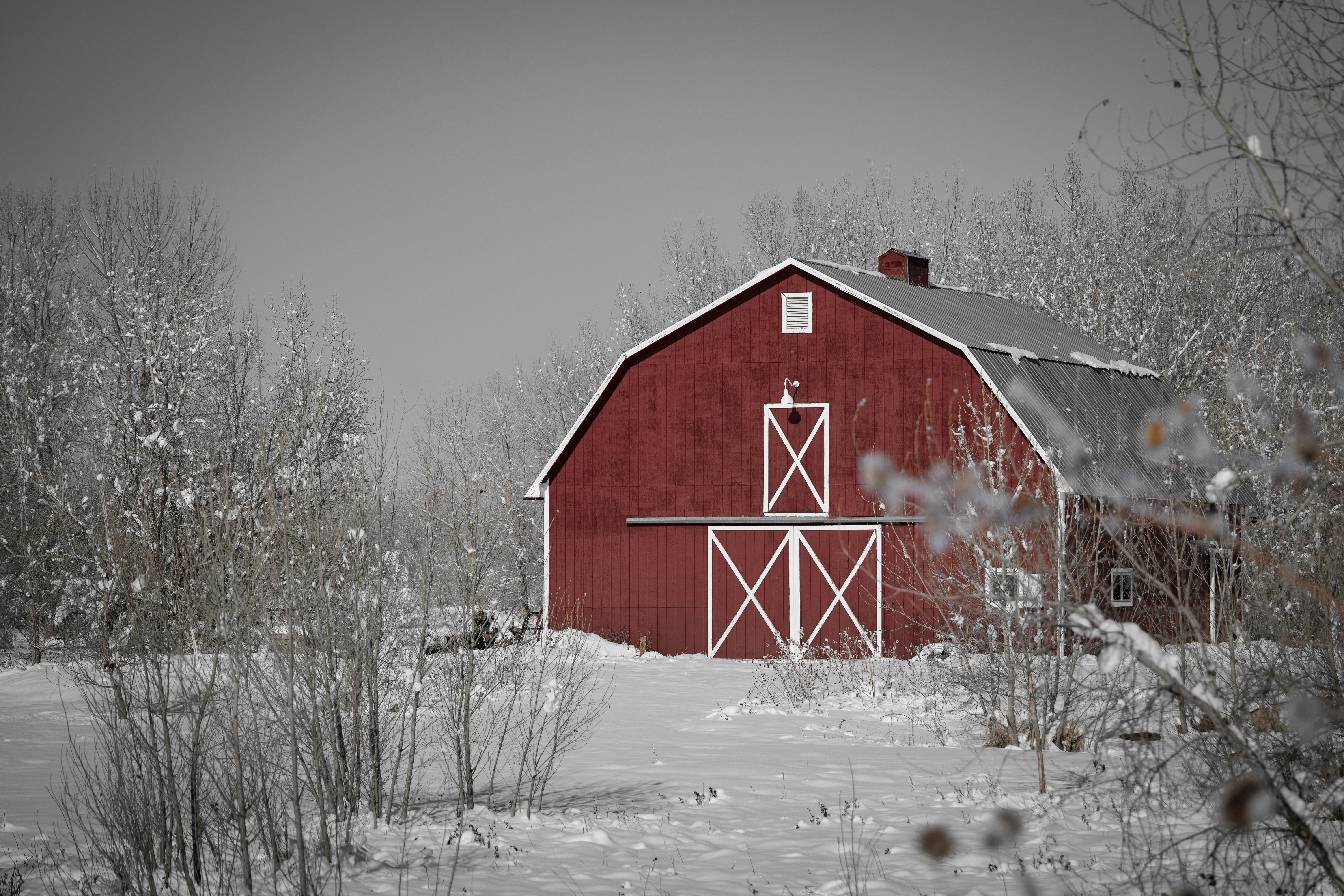 A red barn behind bare trees in the snow