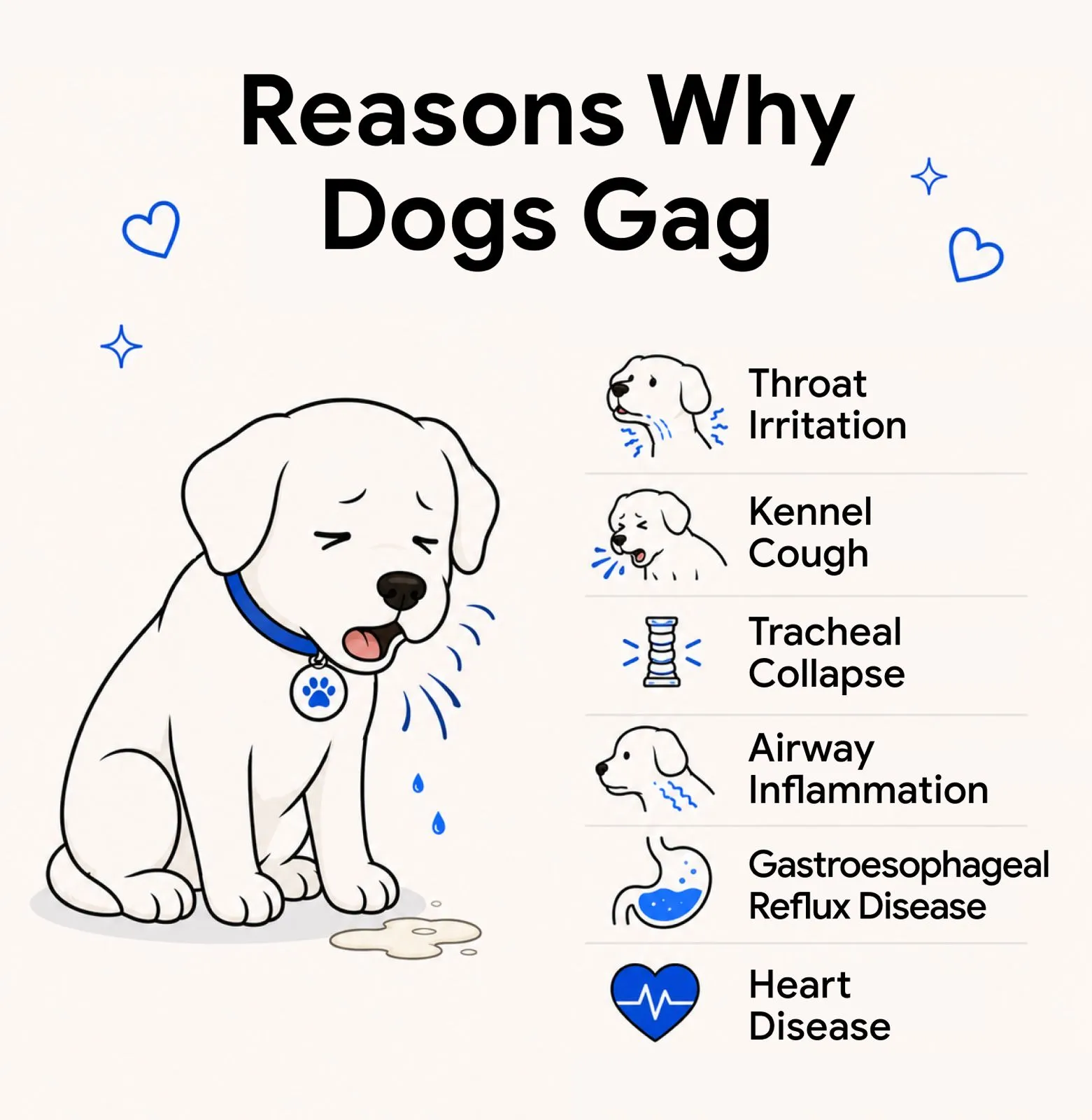 An infographic showing the reasons why dogs gag.