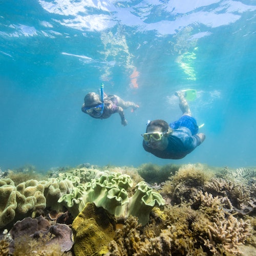 Whitsundays Ocean Rafting: Snorkel, Walk & Whitehaven Beach tickets in Airlie Beach