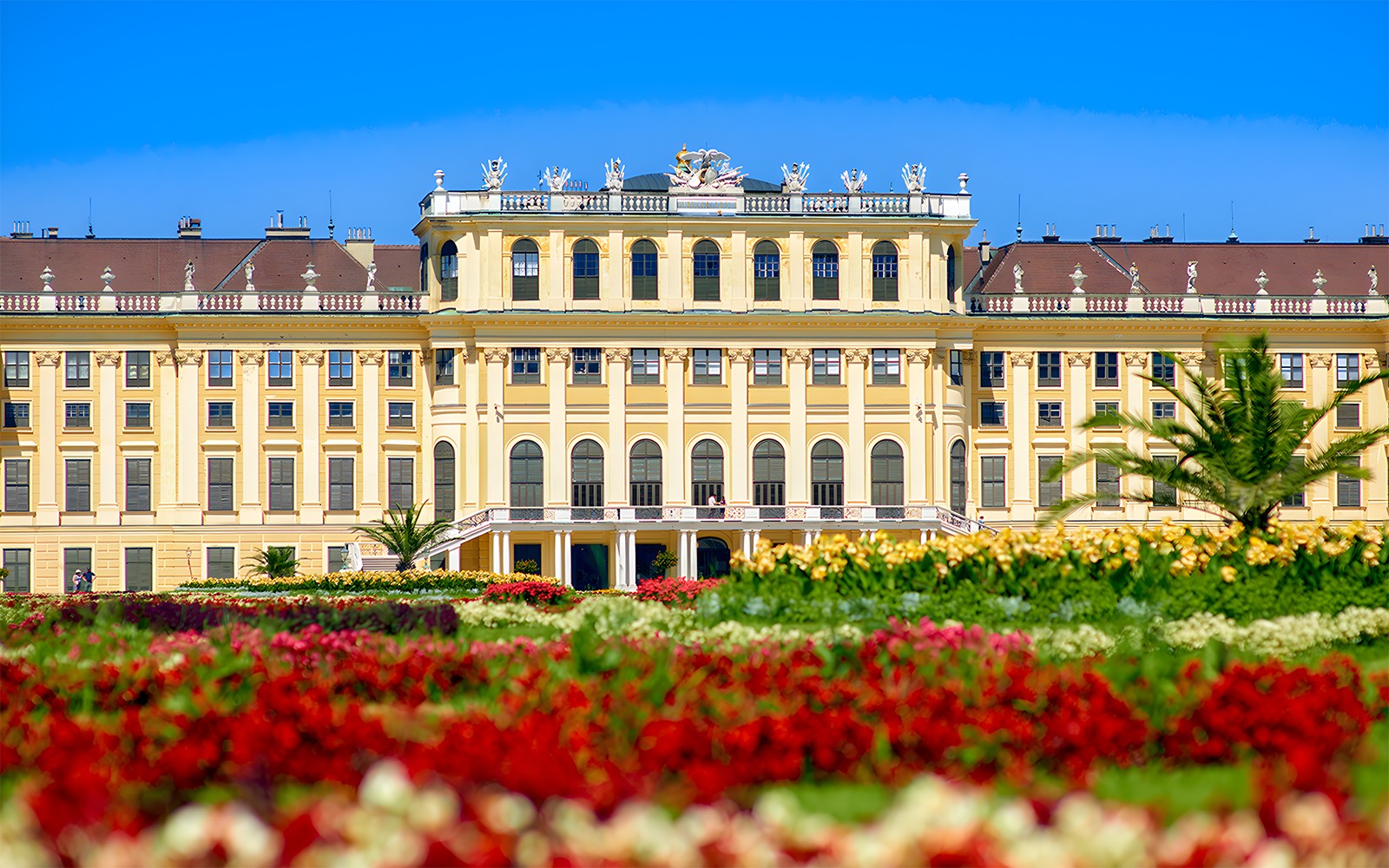 Pałac Schönbrunn z żywymi ogrodami w Wiedniu, Austria.
