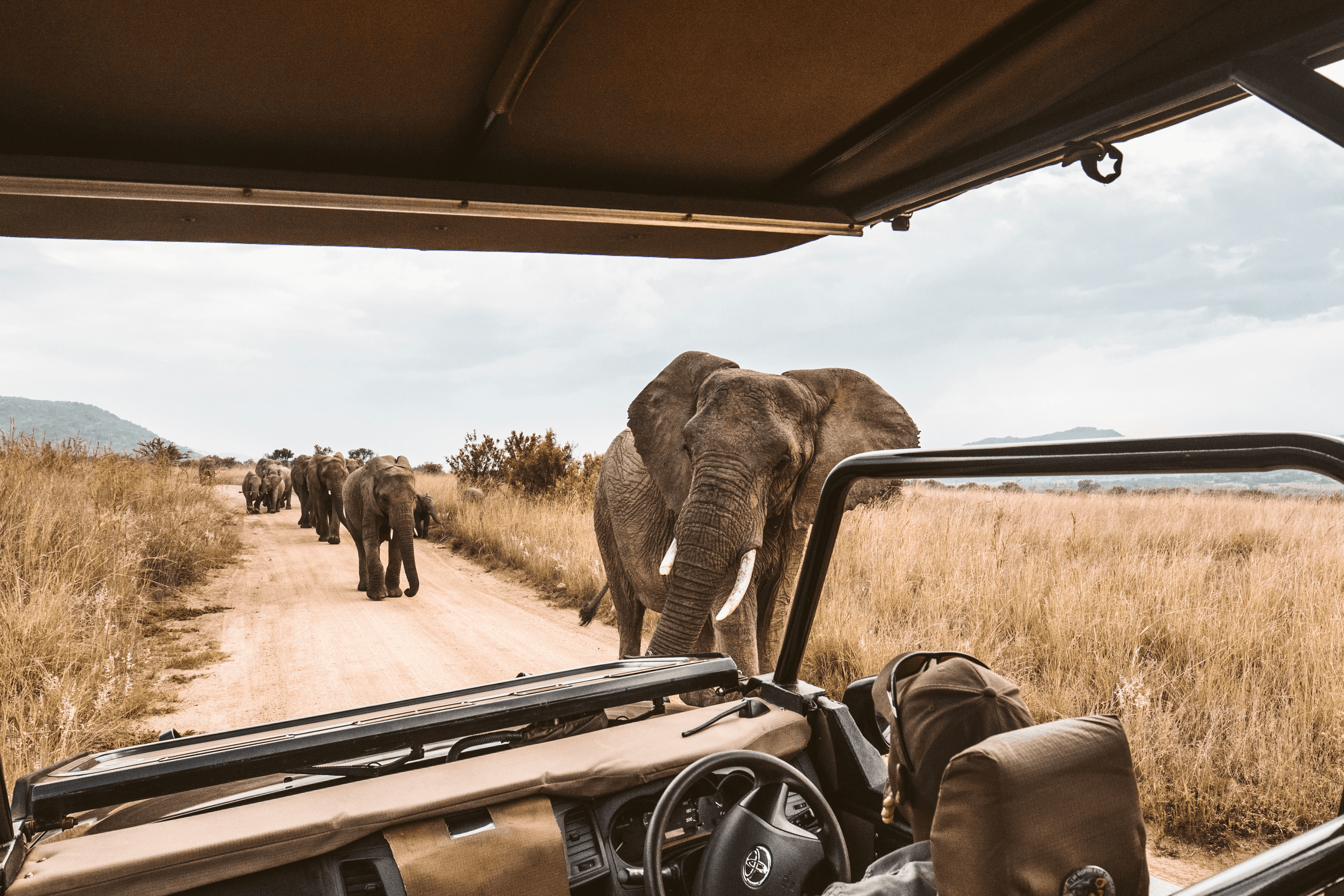 scenery of buildings