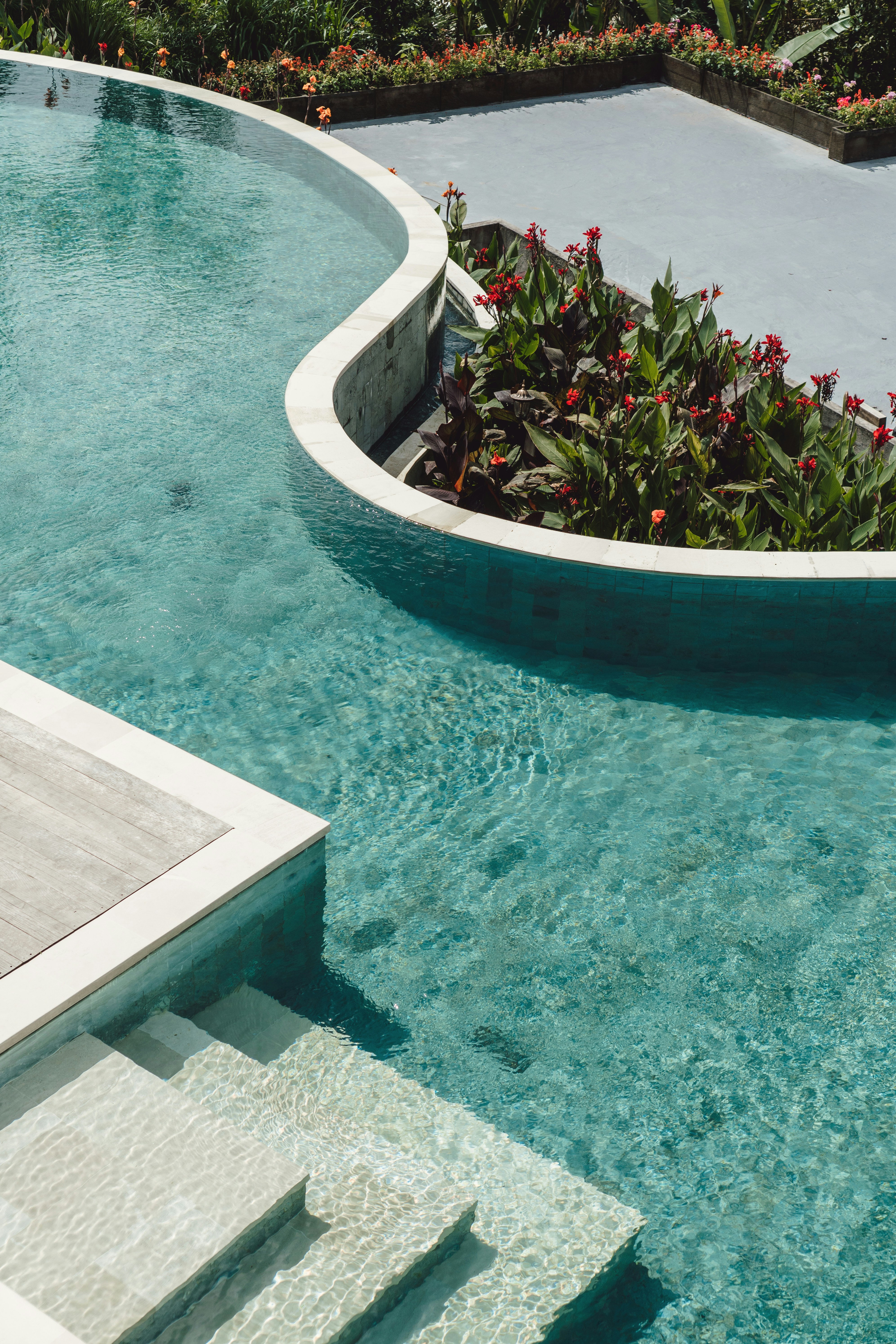 Modern swimming pool with lush green plants and flowers.