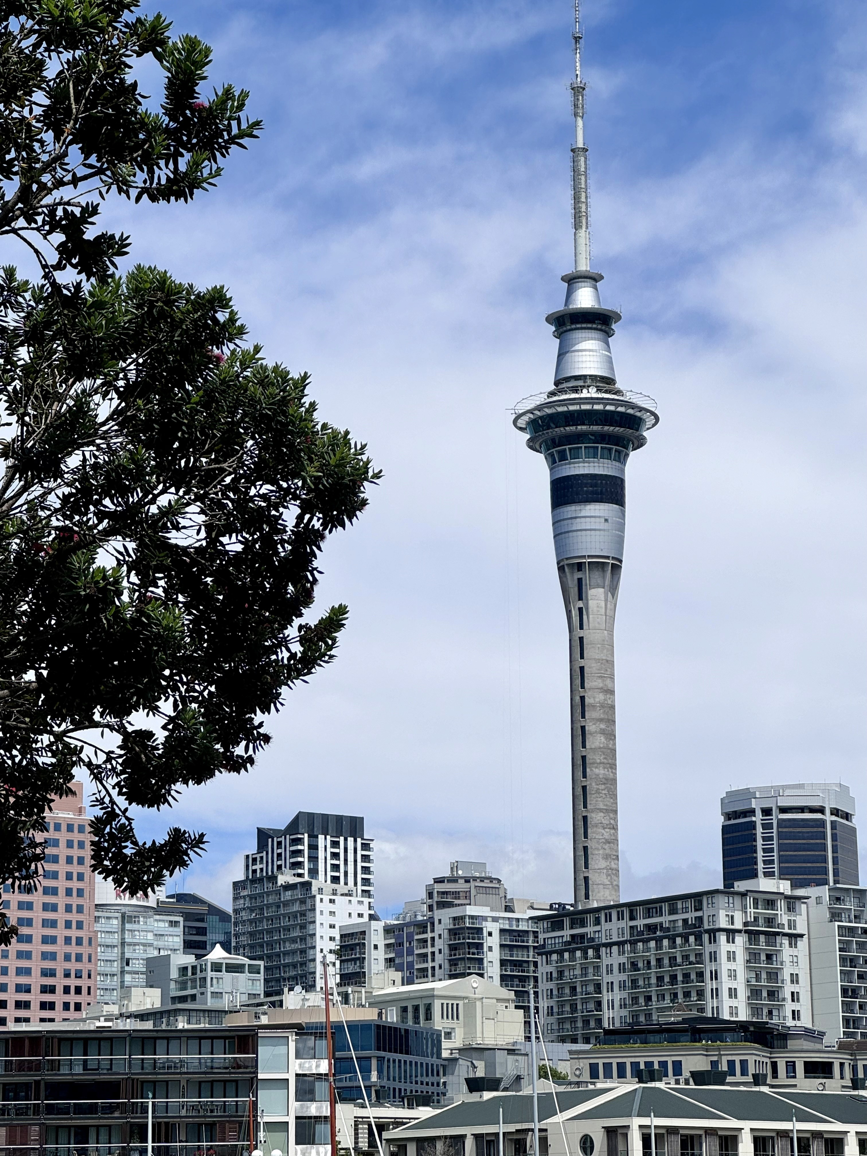 Sky Tower in Auckland CBD at a distance