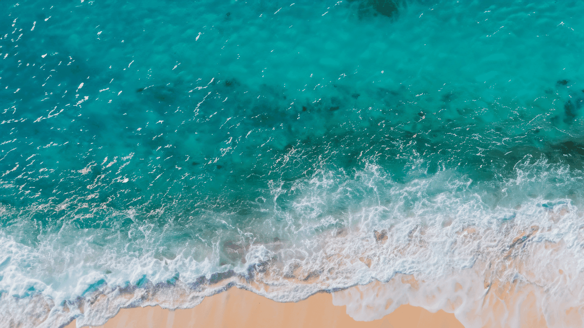 Aerial view of the beautiful Caribbean coastline, welcoming guests to Club Vieques, an exclusive island resort for relaxation, adventure, and fun.