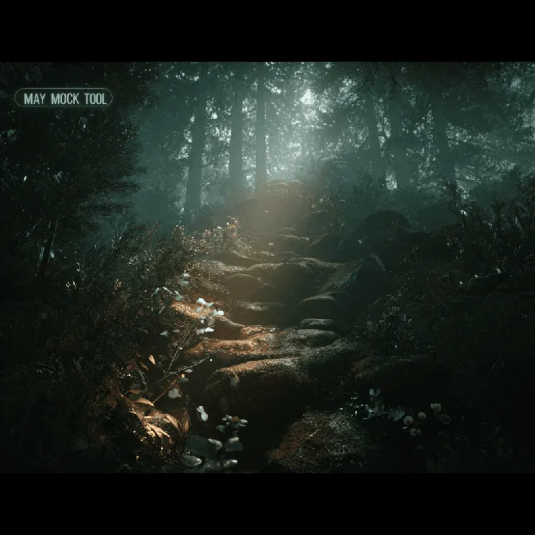 Way in forest with rocks