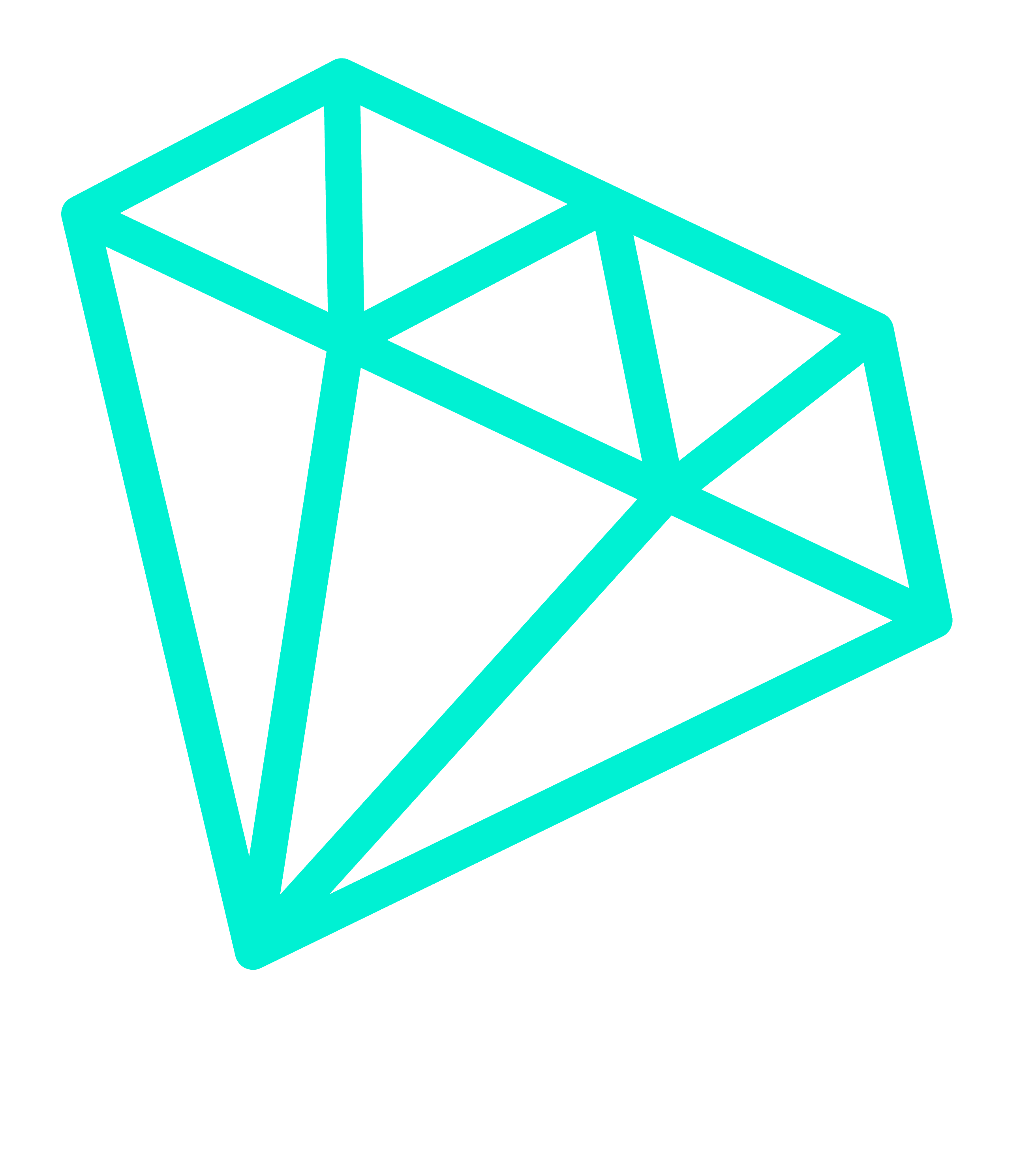 Portrait of portfolio creator – front view