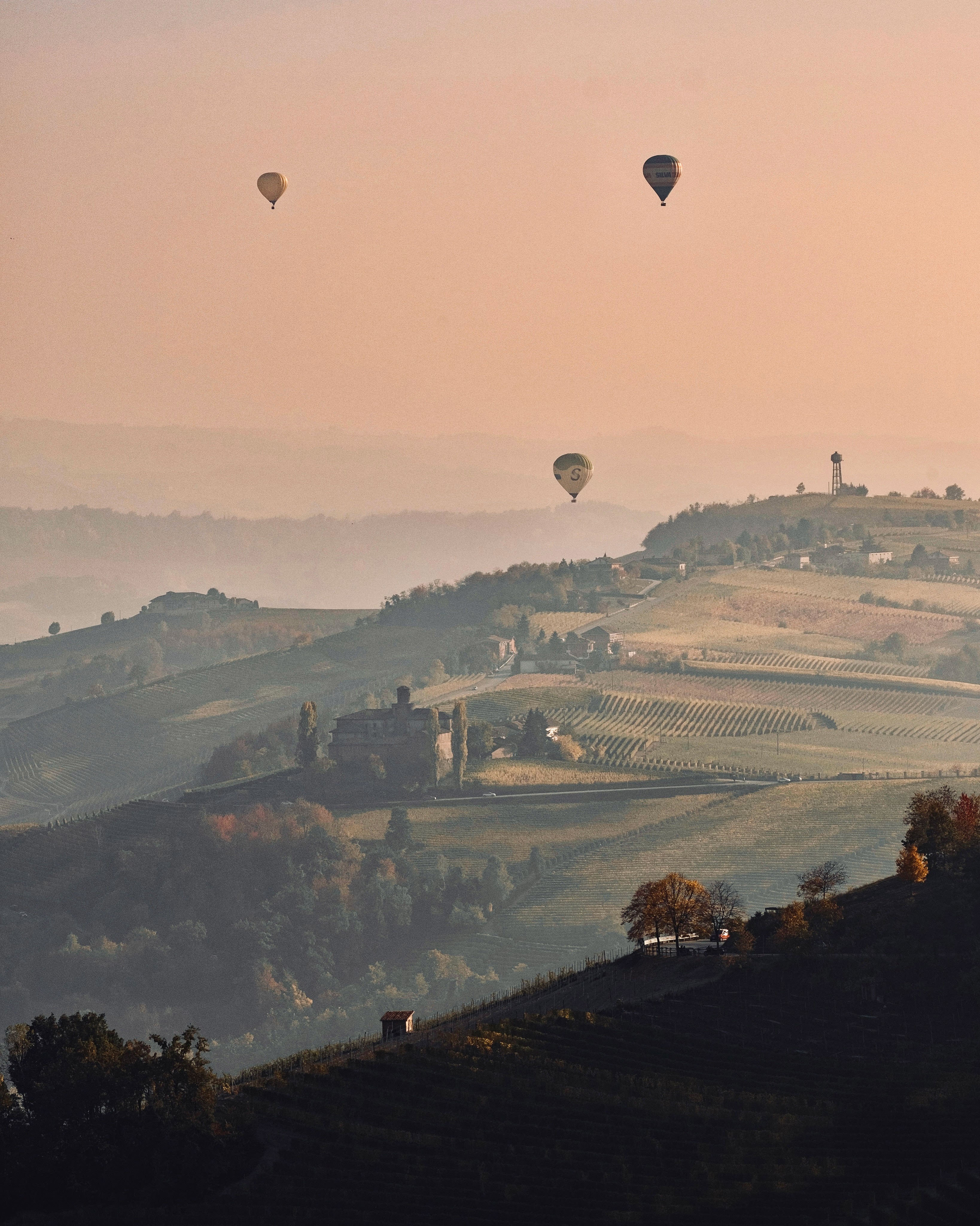Vintage Car Under Palm Trees