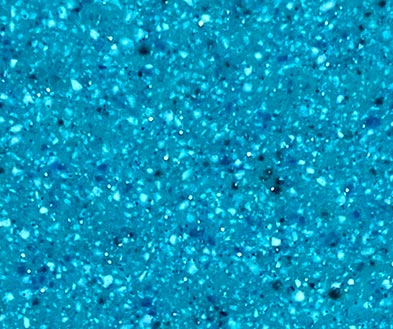 Face on view of Coral Blue