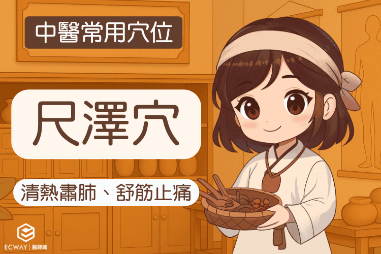 【中醫常用穴位】尺澤穴